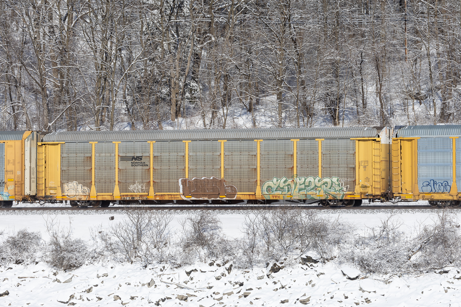 TTGX 994017