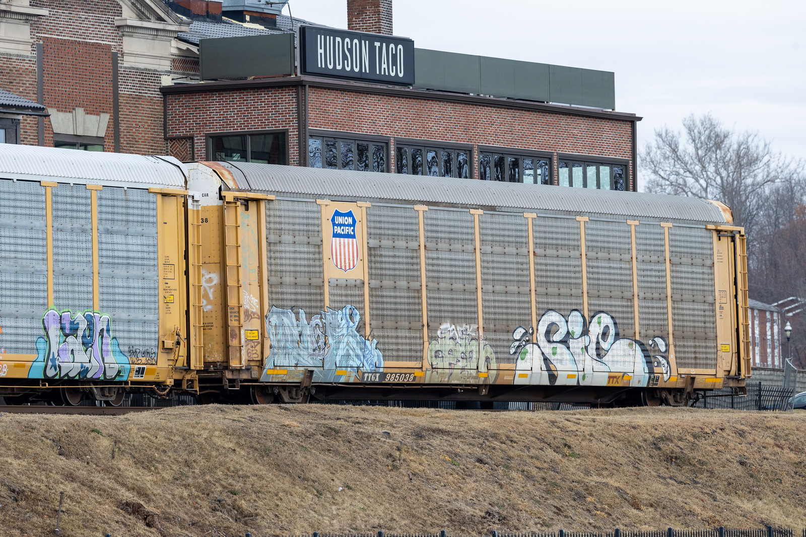 TTGX 985038