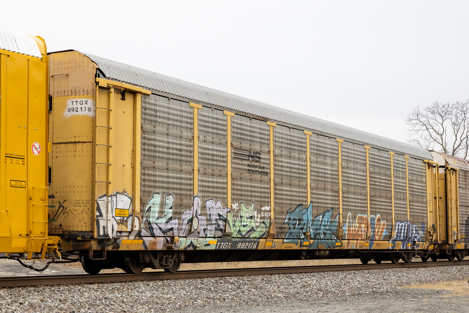 TTGX 992176