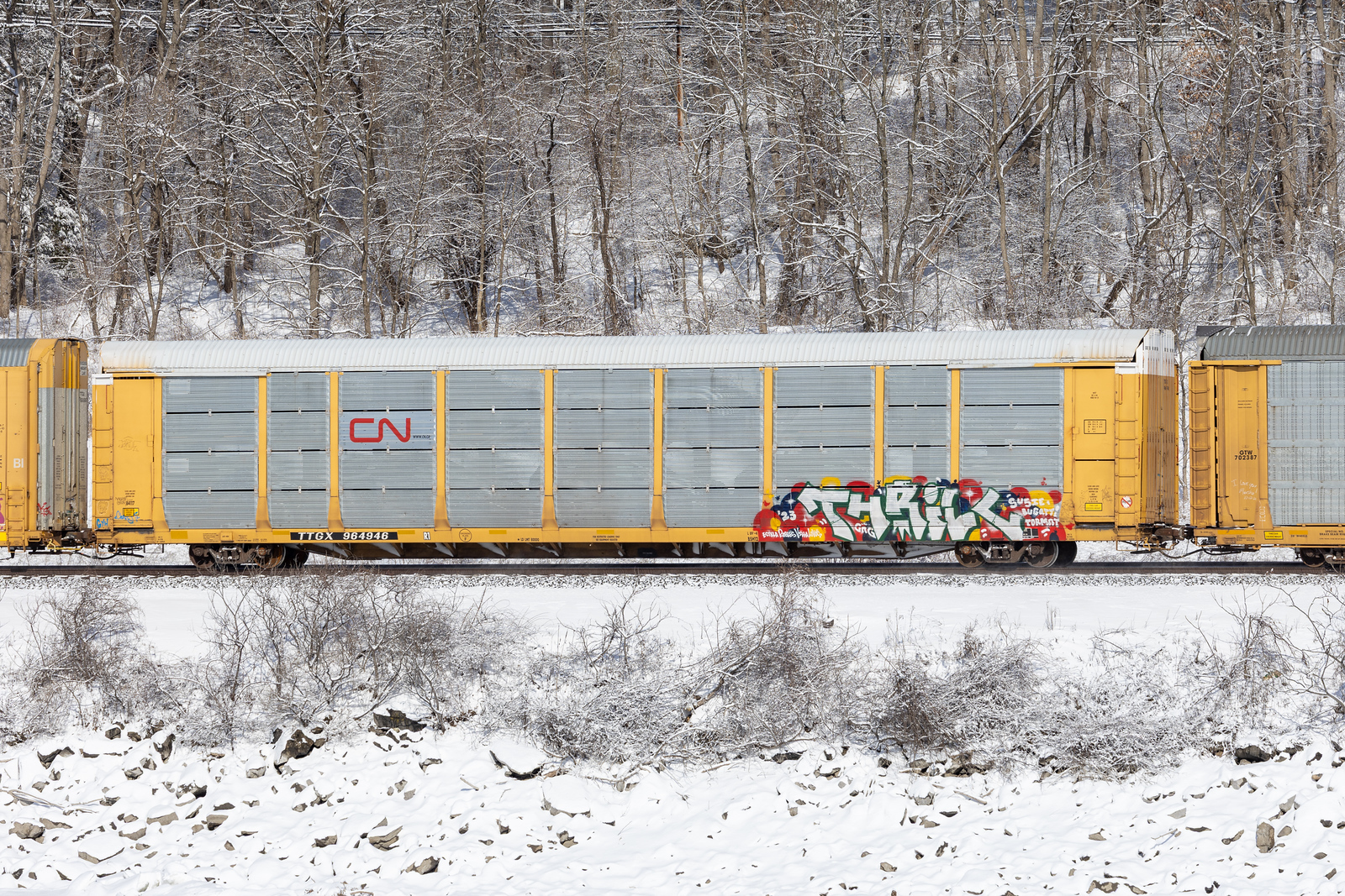 TTGX 964946