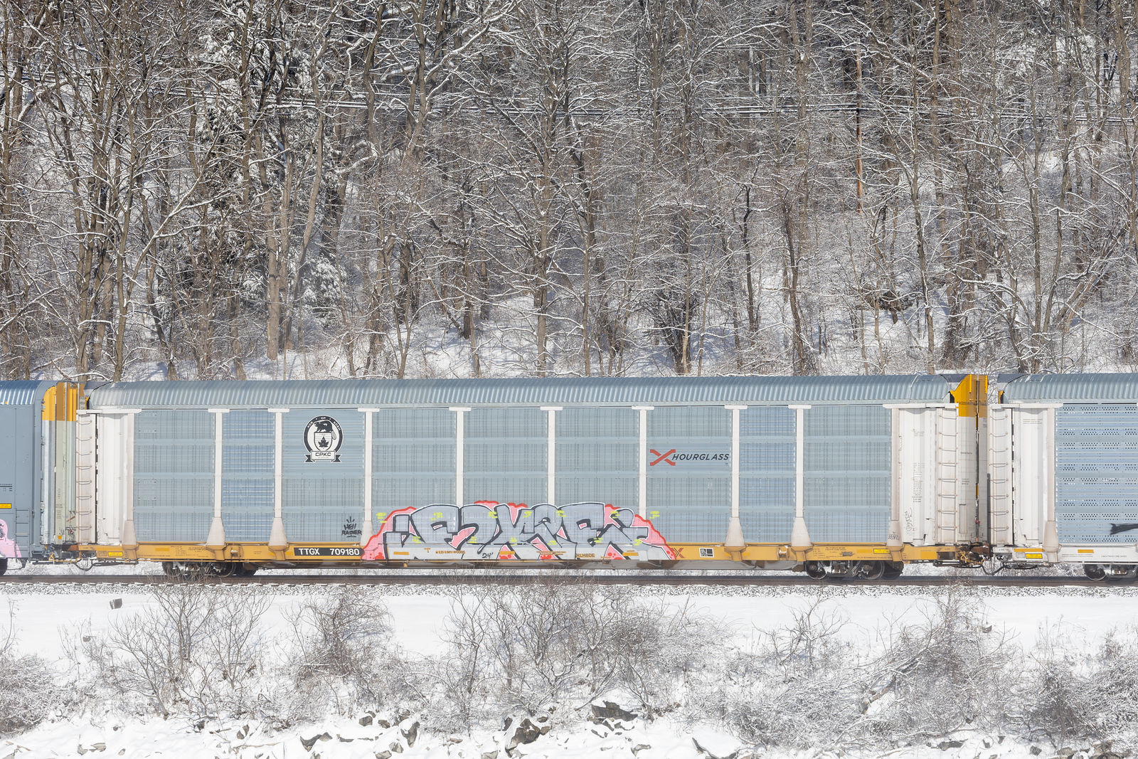 TTGX 709180