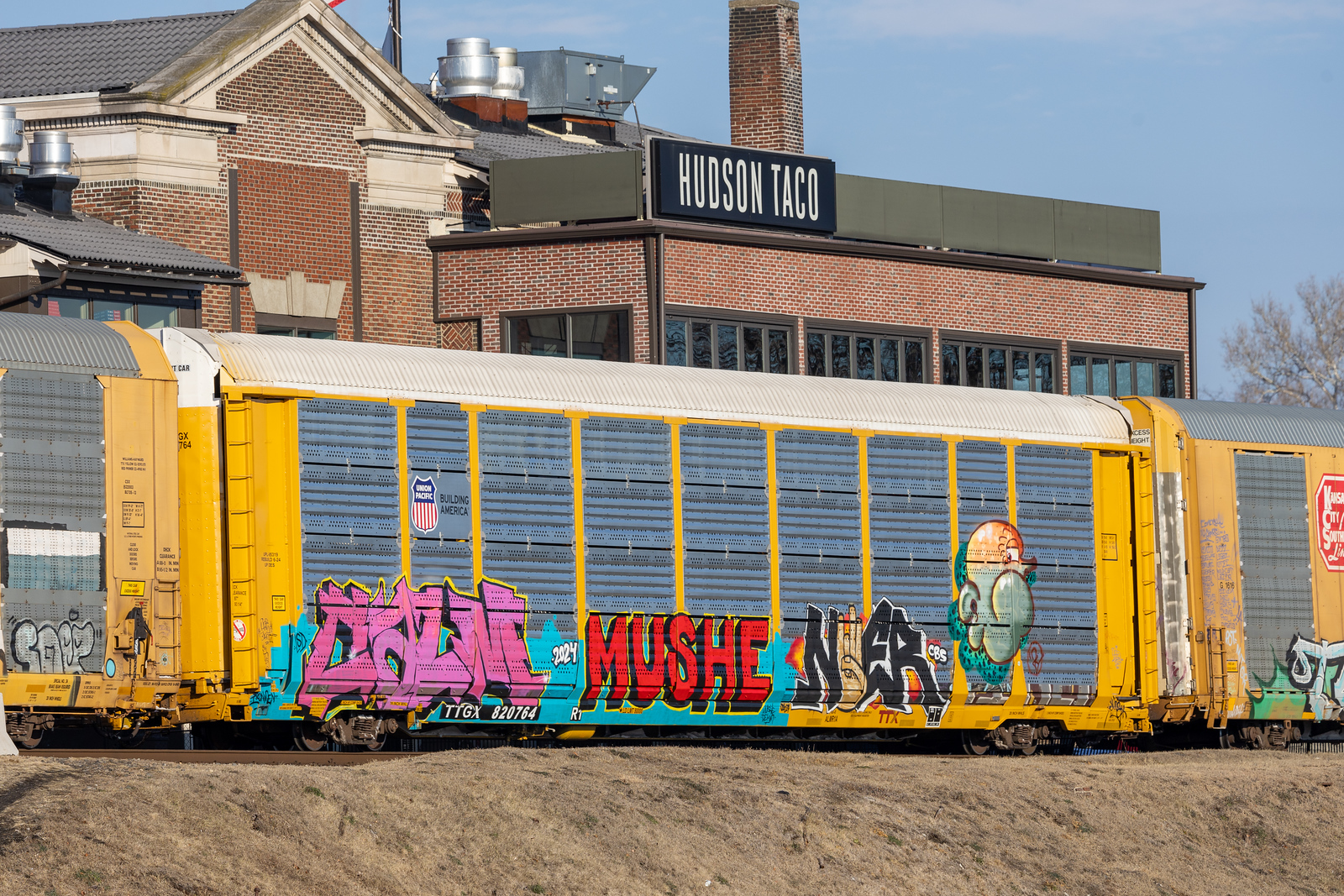 TTGX 820764