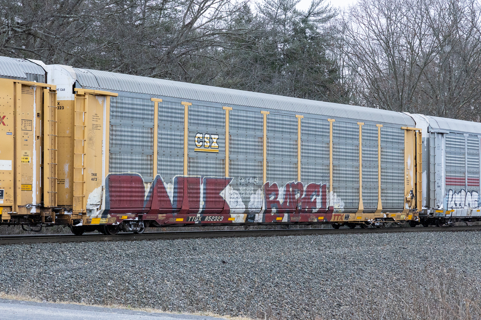 TTGX 852323