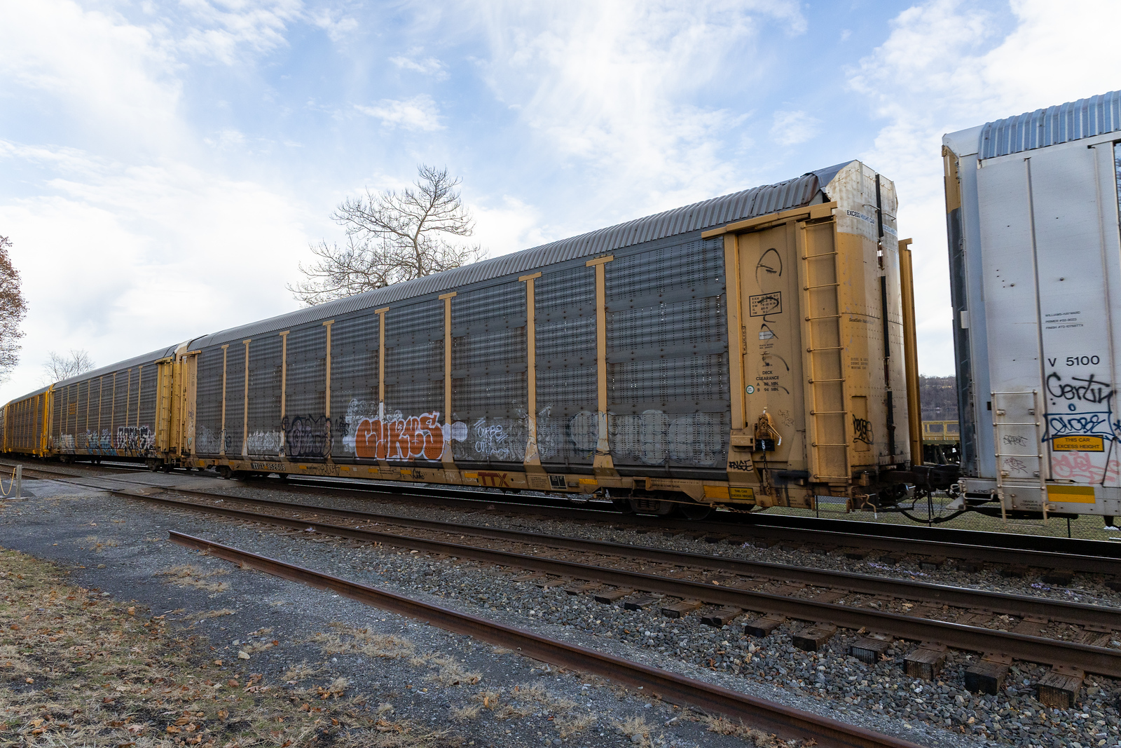 TTGX 852608