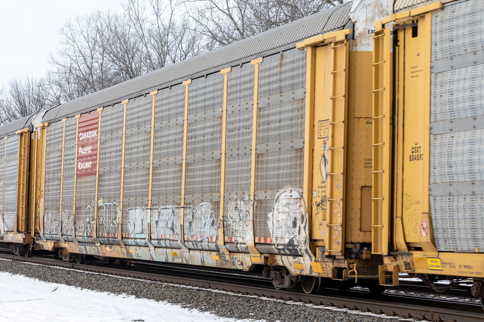 TTGX 853678