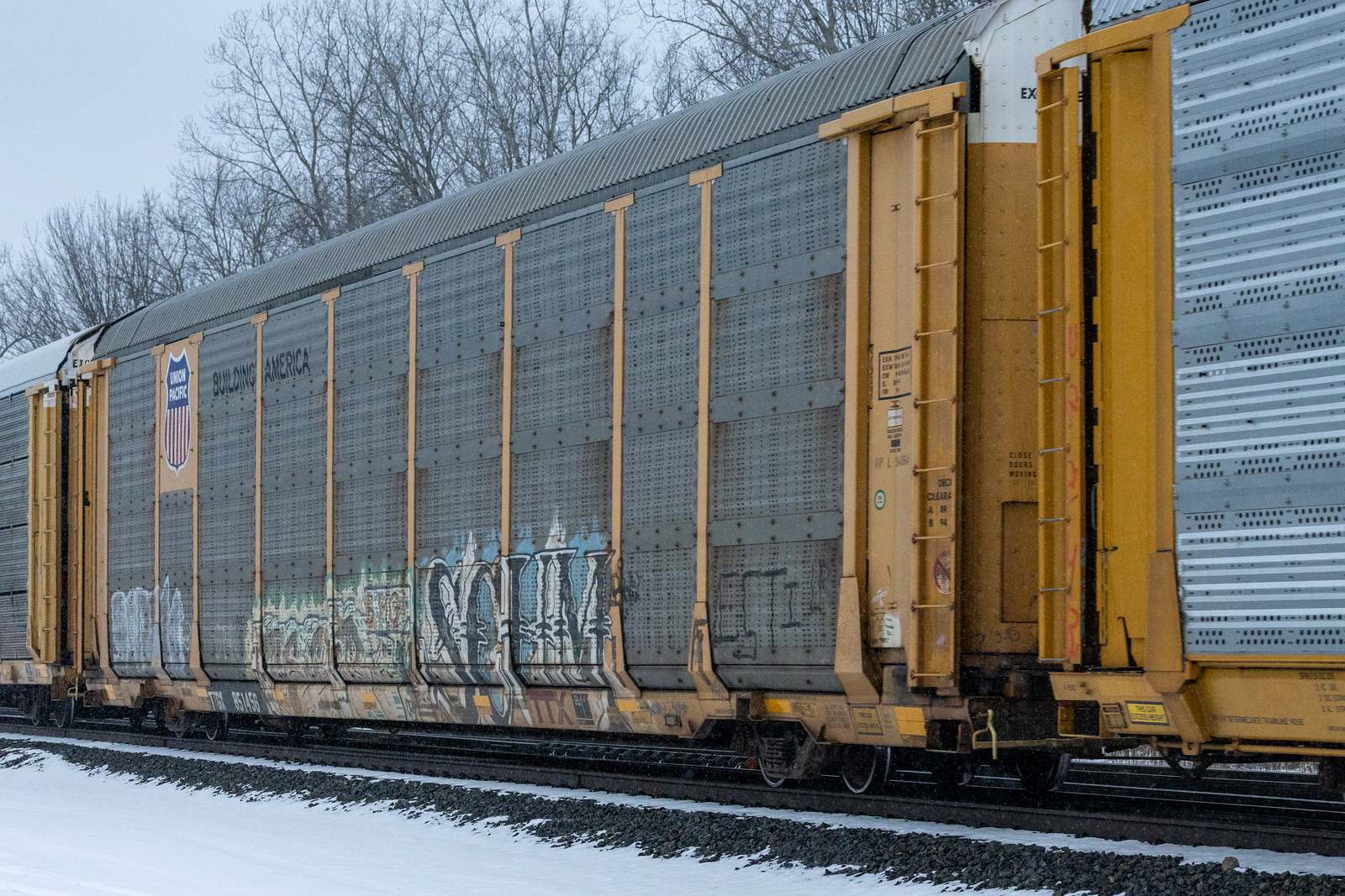 TTGX 851456
