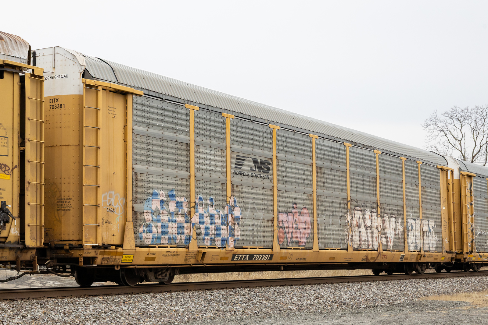 ETTX 703381