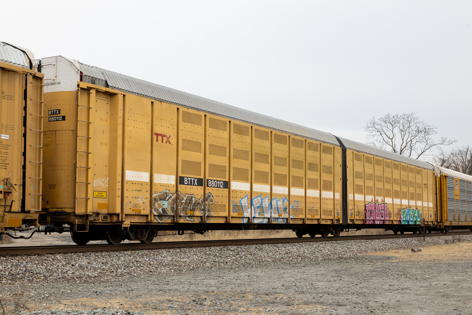 BTTX 880112