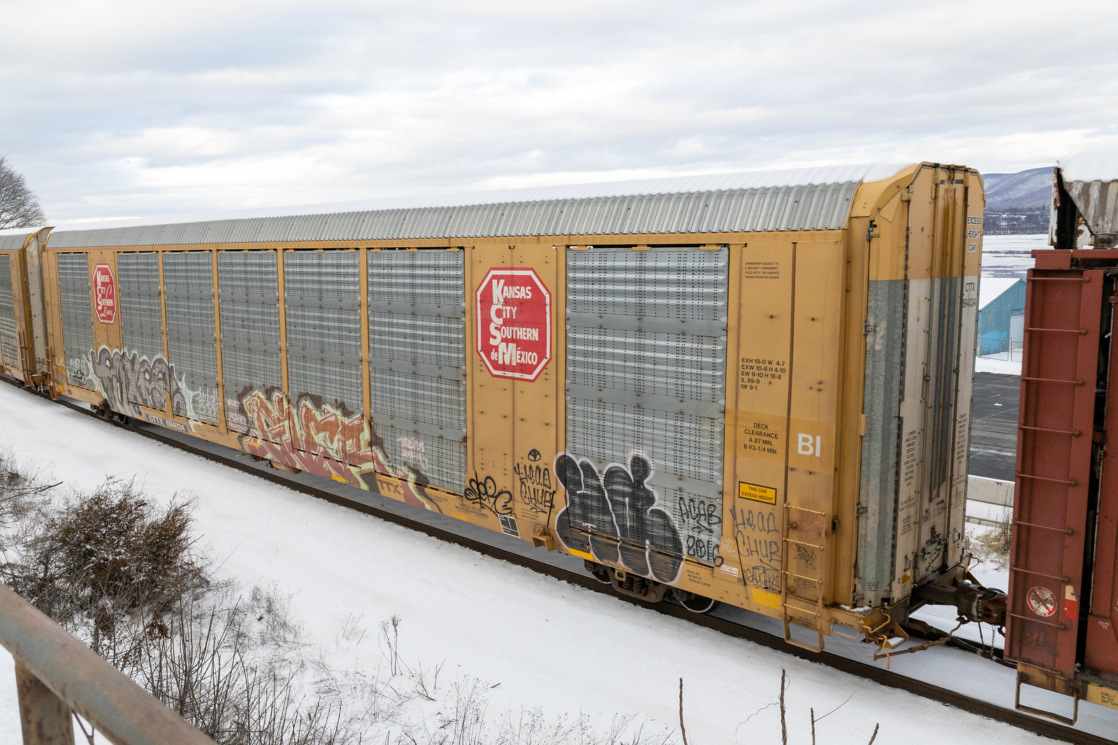 CTTX 694034