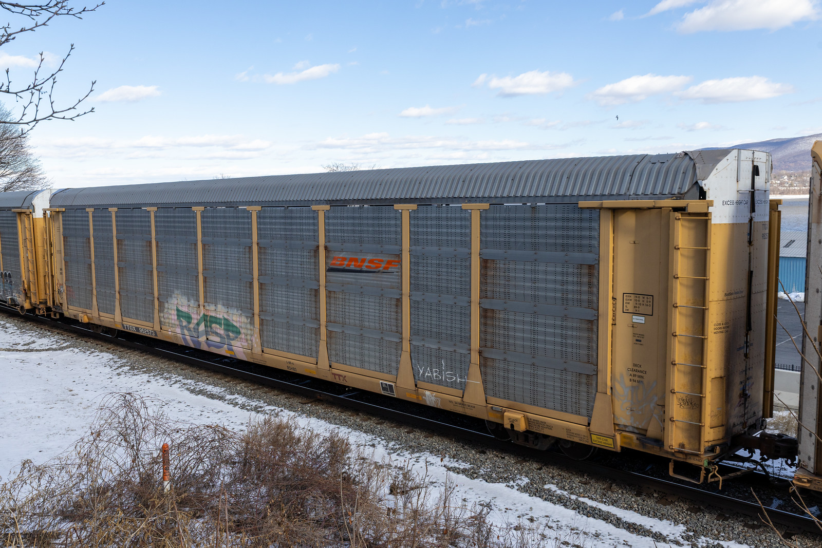 TTGX 952573