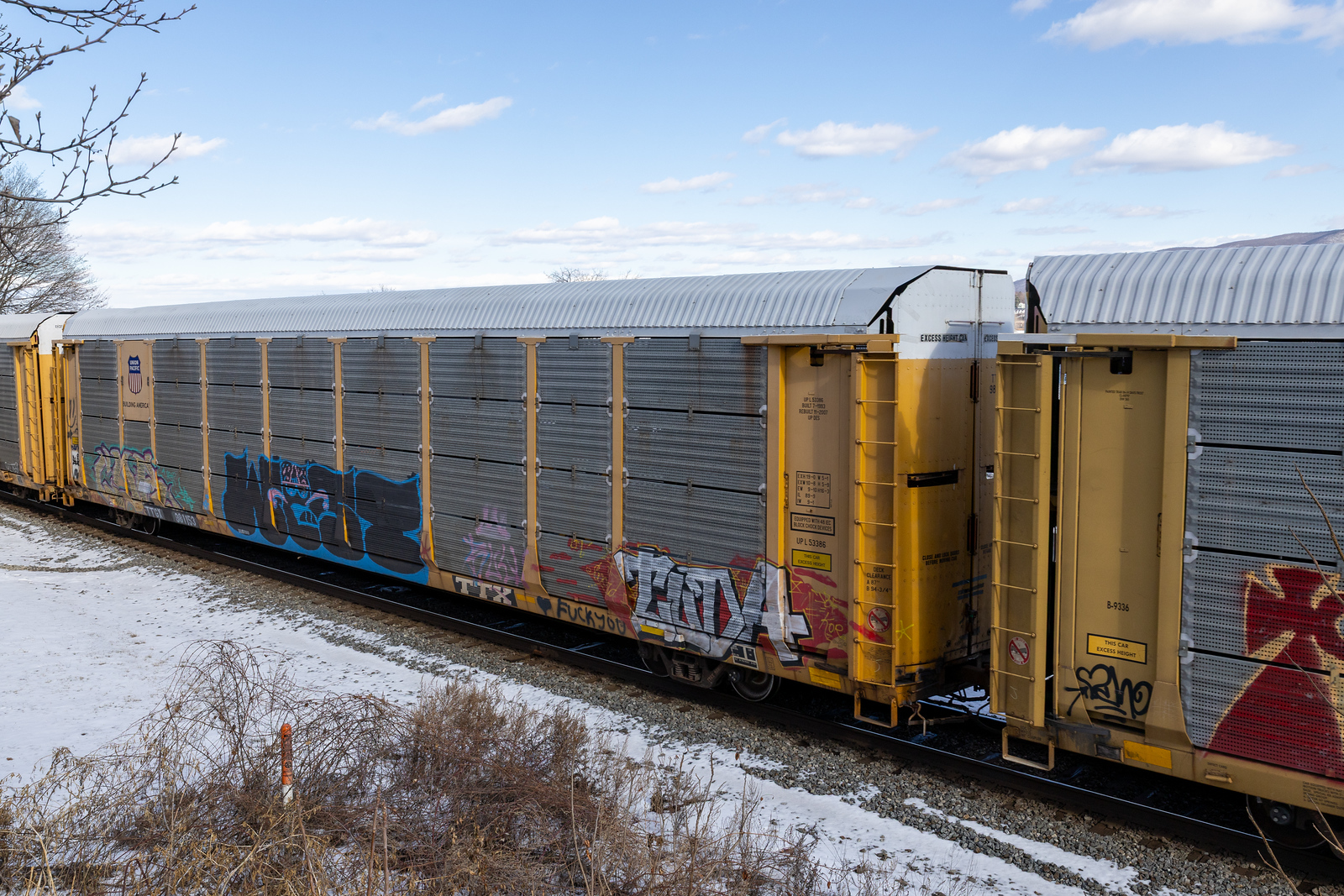 TTGX 981153