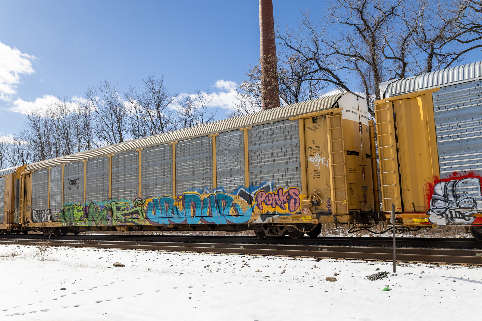 TTGX 980288