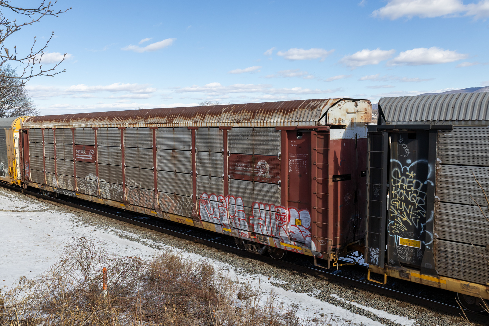 TTGX 255013