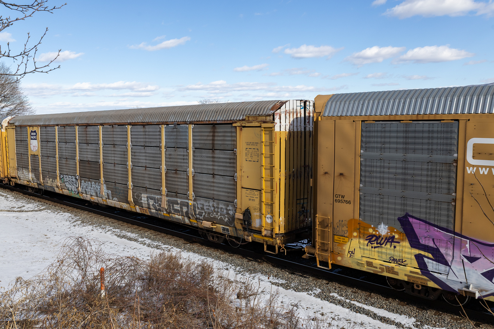TTGX 256129