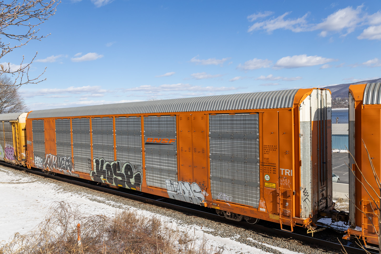 CTTX 693943