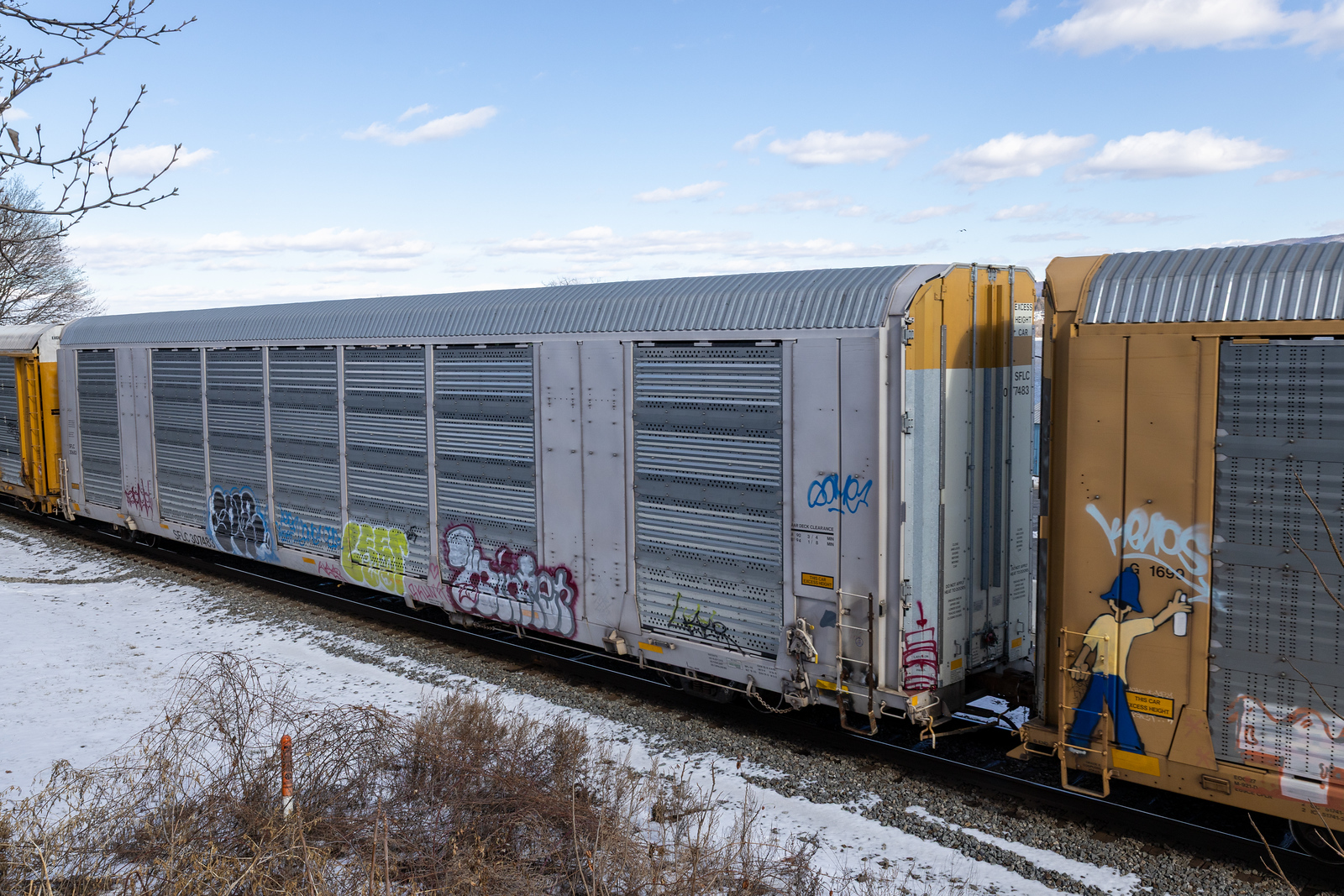 SFLC 307483