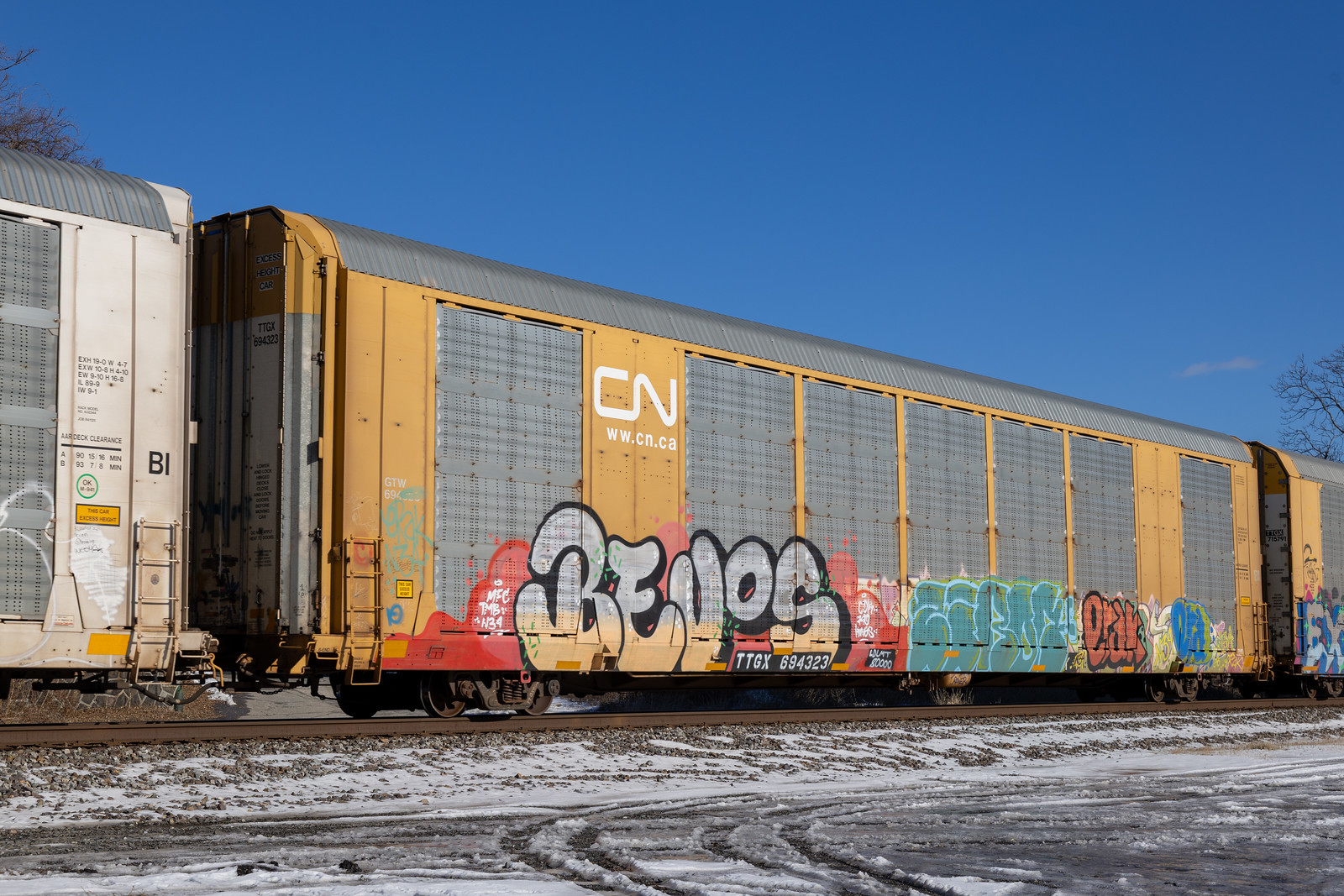 TTGX 694323