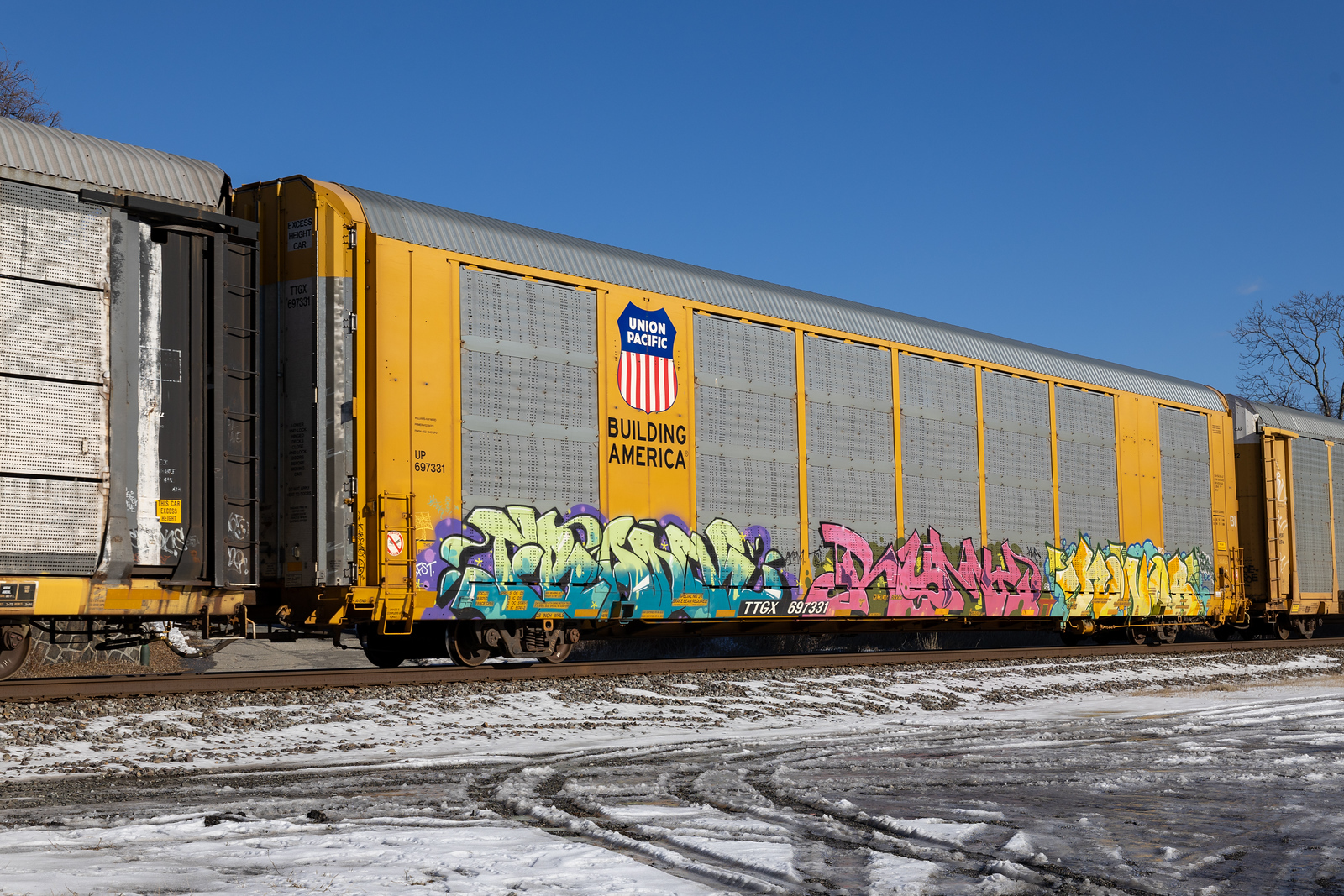 TTGX 697331