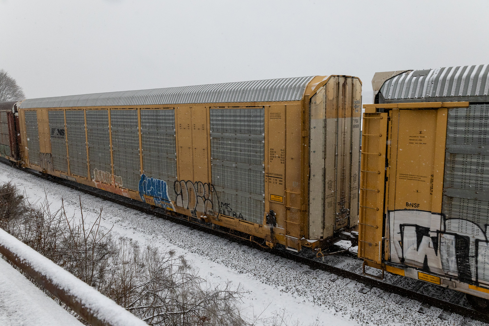 TTGX 691506