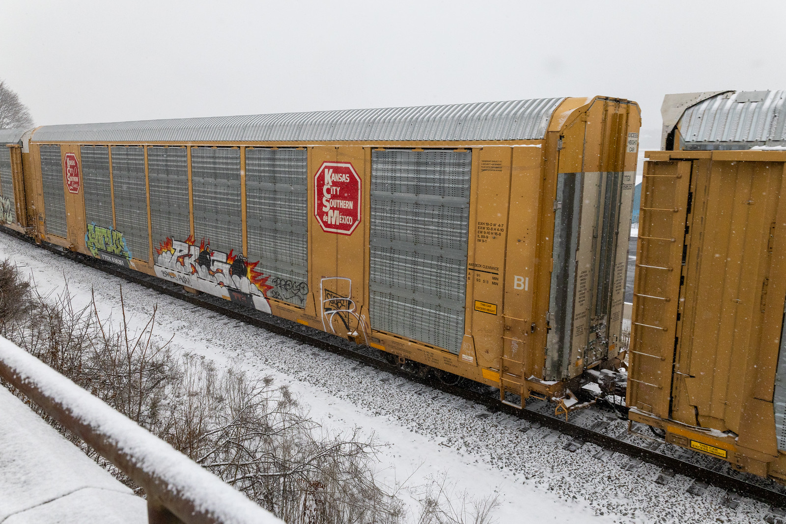 TTGX 696351