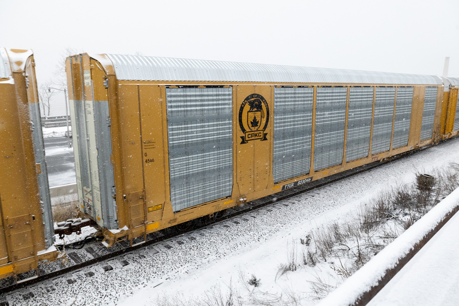 TTGX 823046