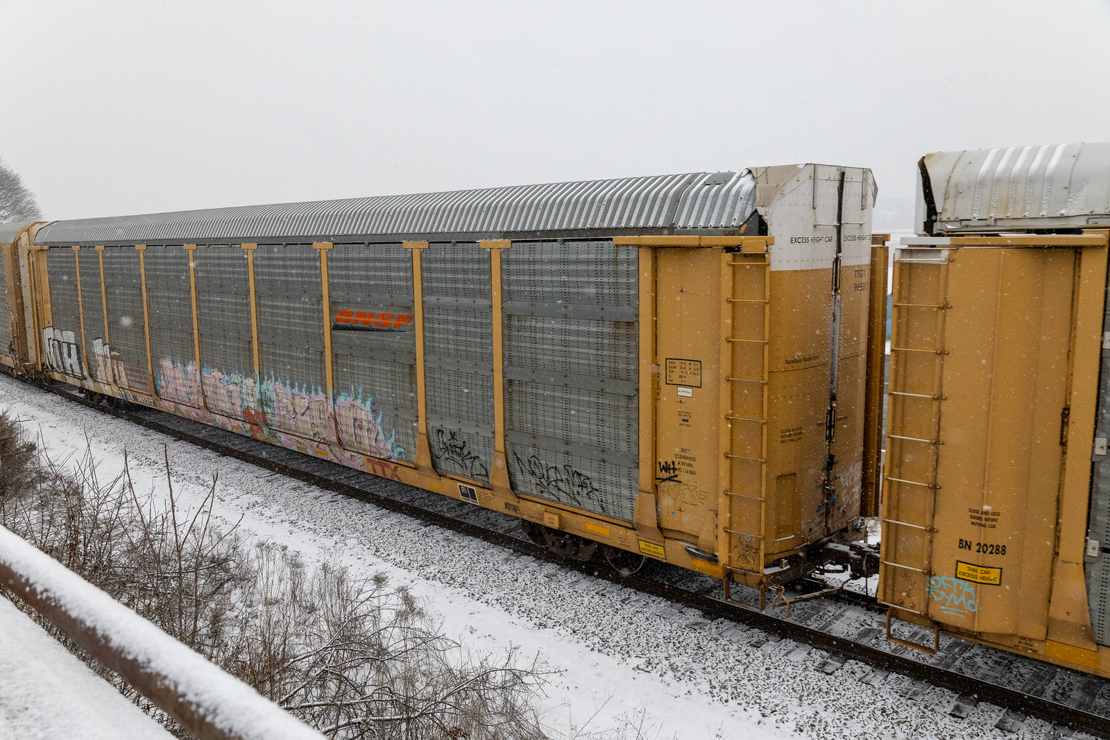 TTGX 965317