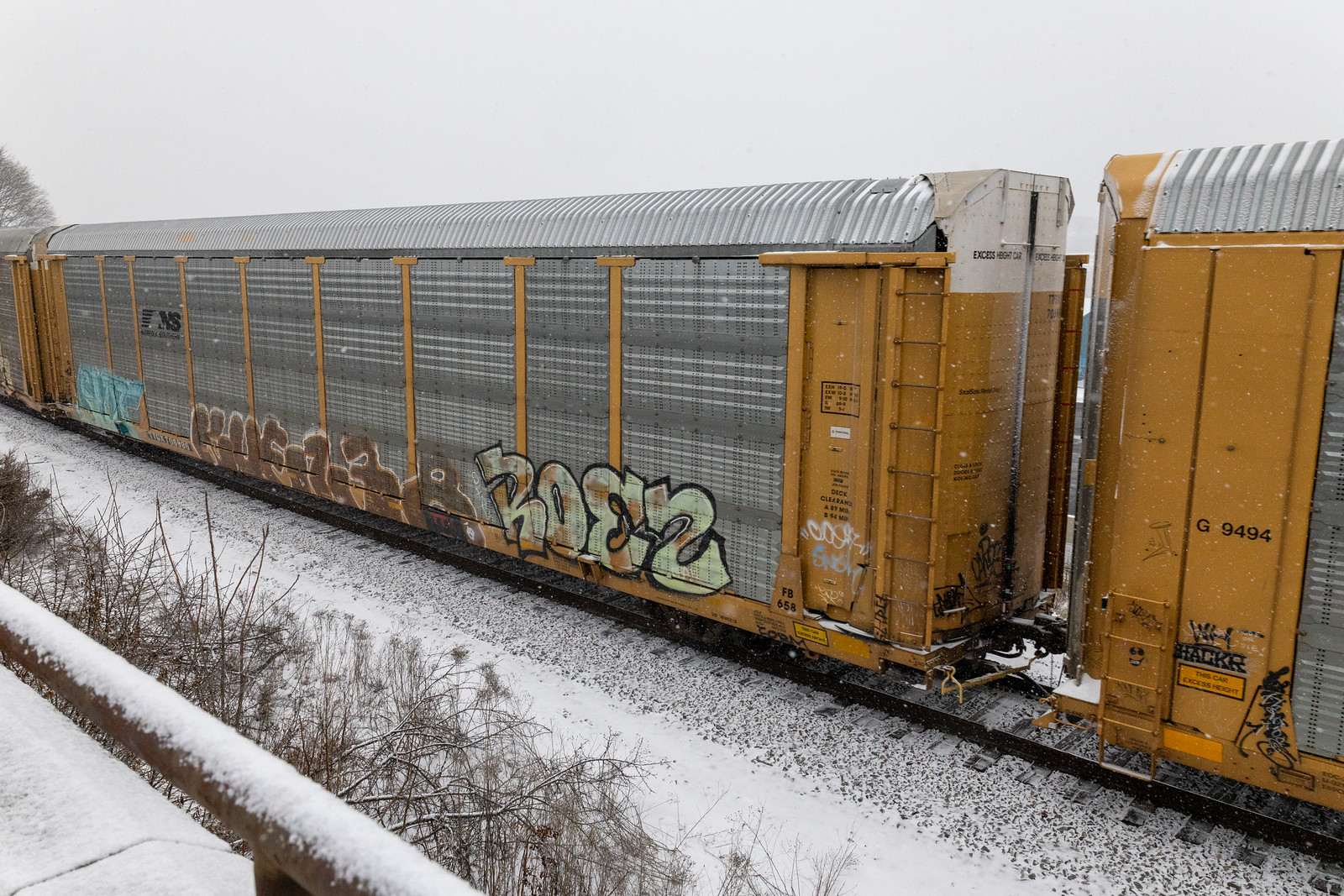 TTGX 706986