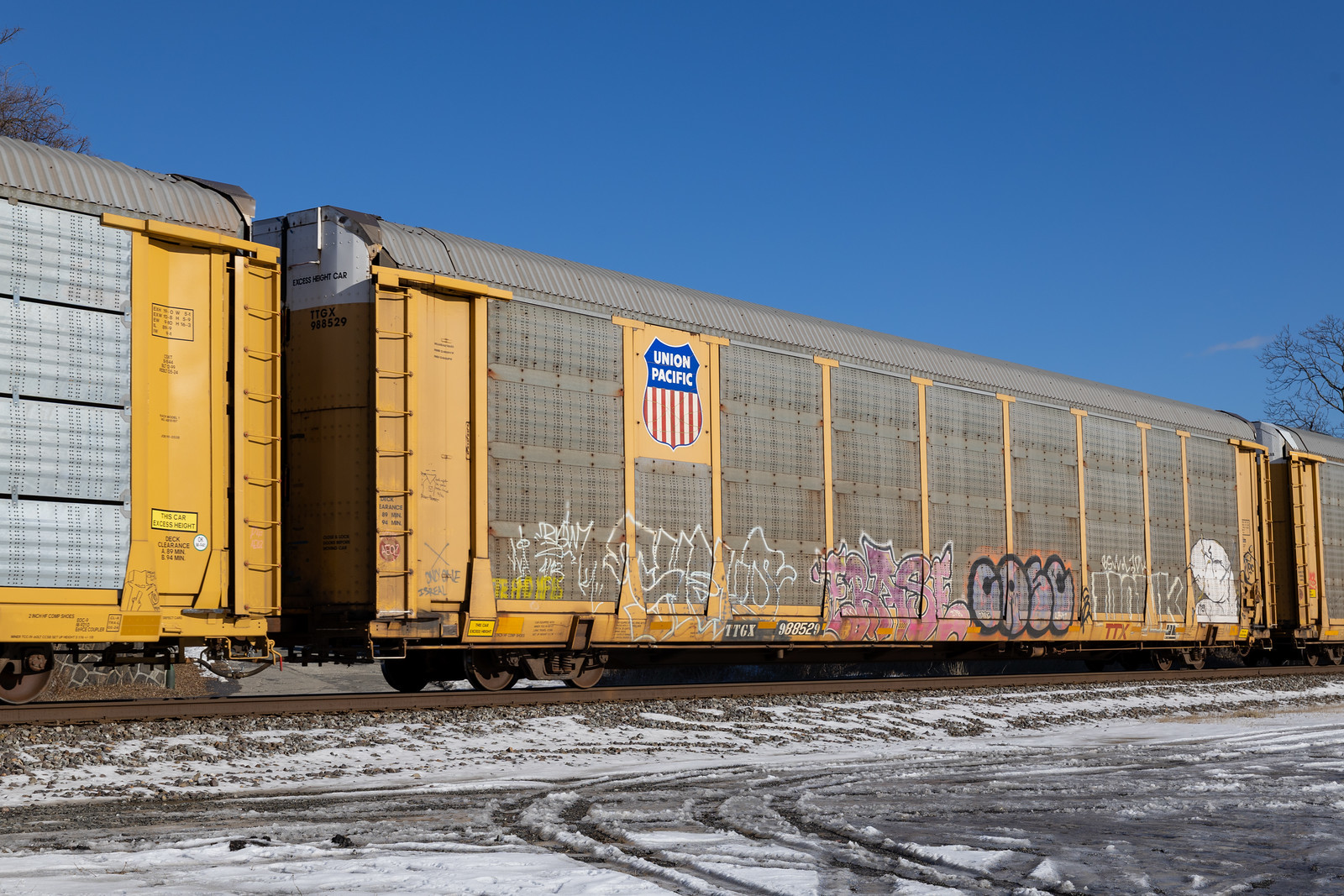 TTGX 988529