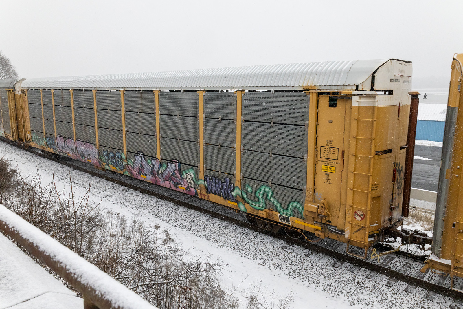 TTGX 964287
