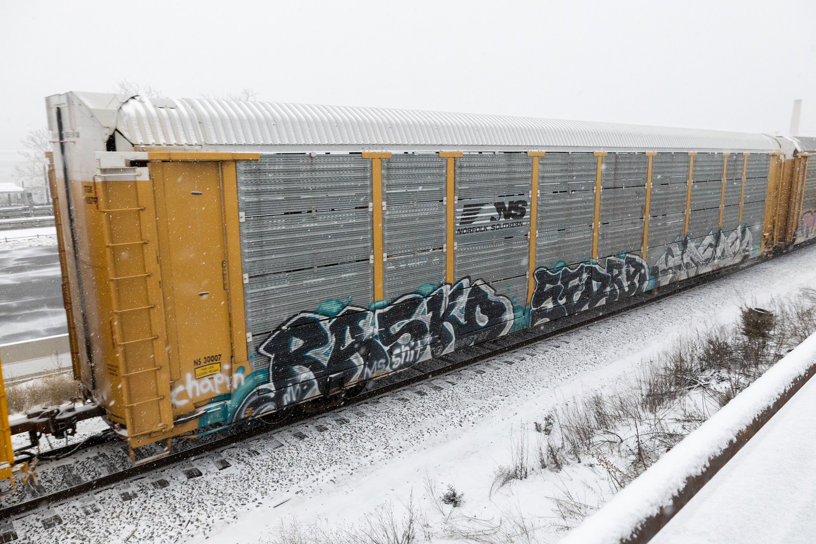 TTGX 985797
