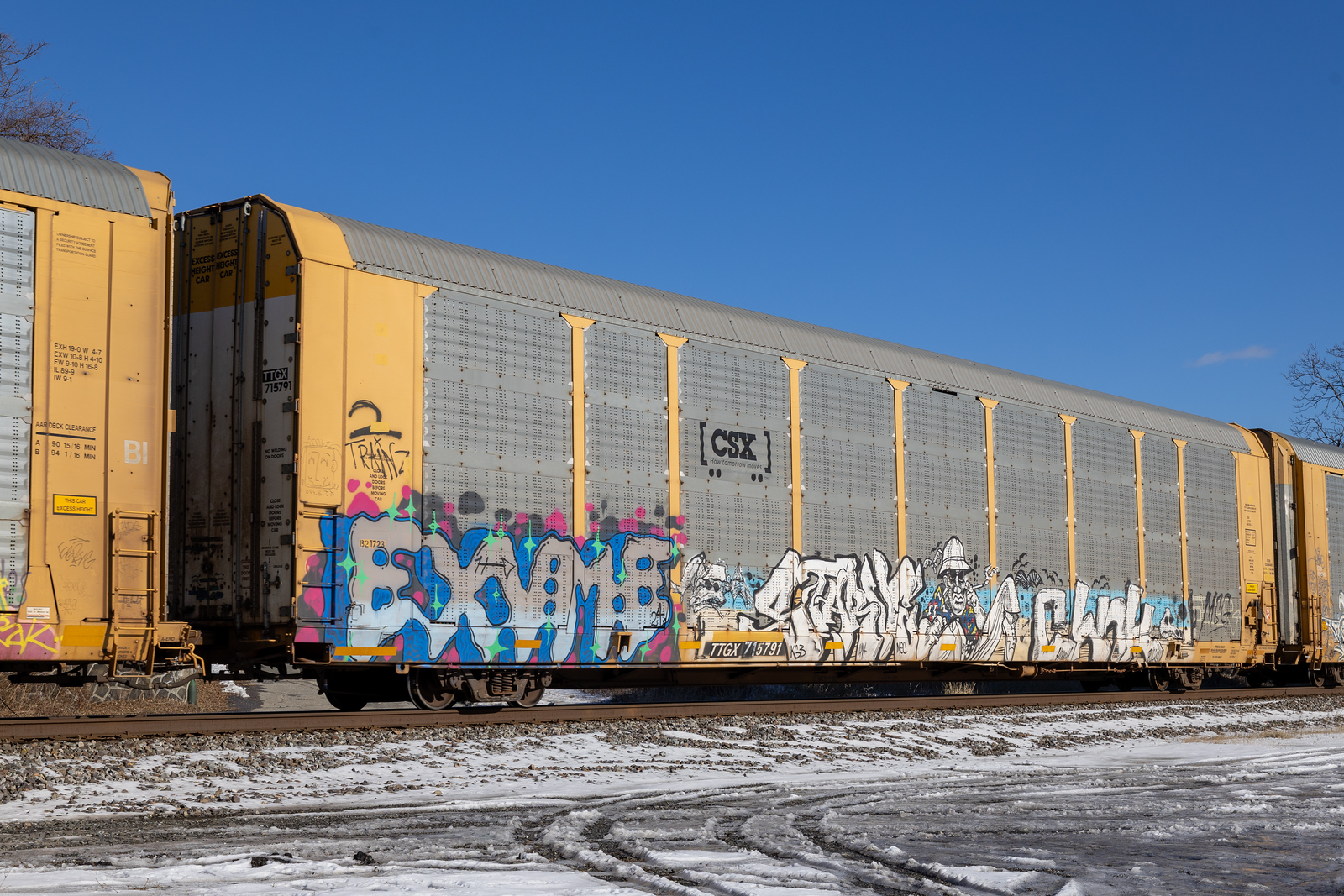 TTGX 715791