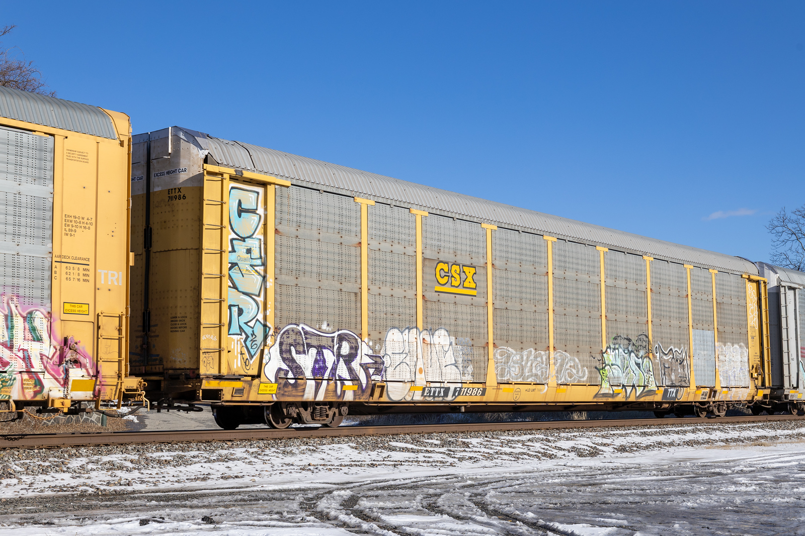 ETTX 711986