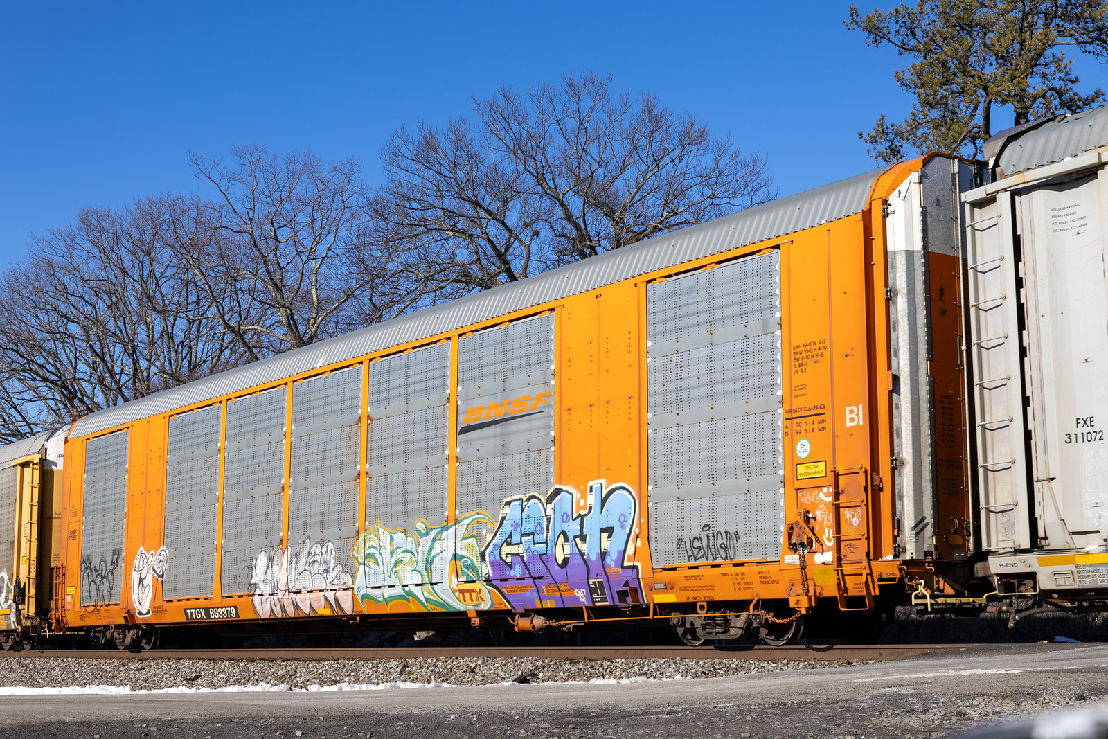 TTGX 693379