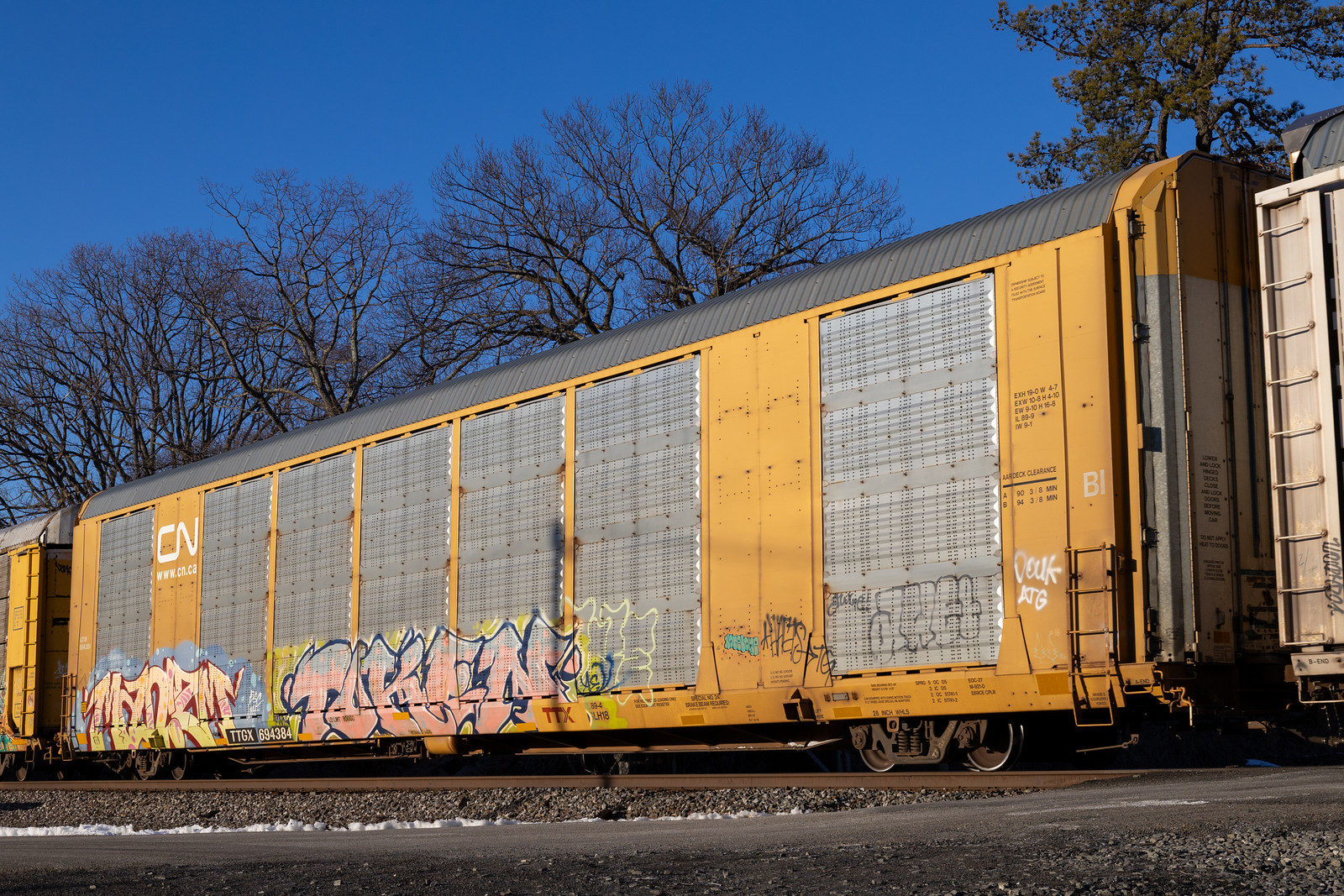 TTGX 694384