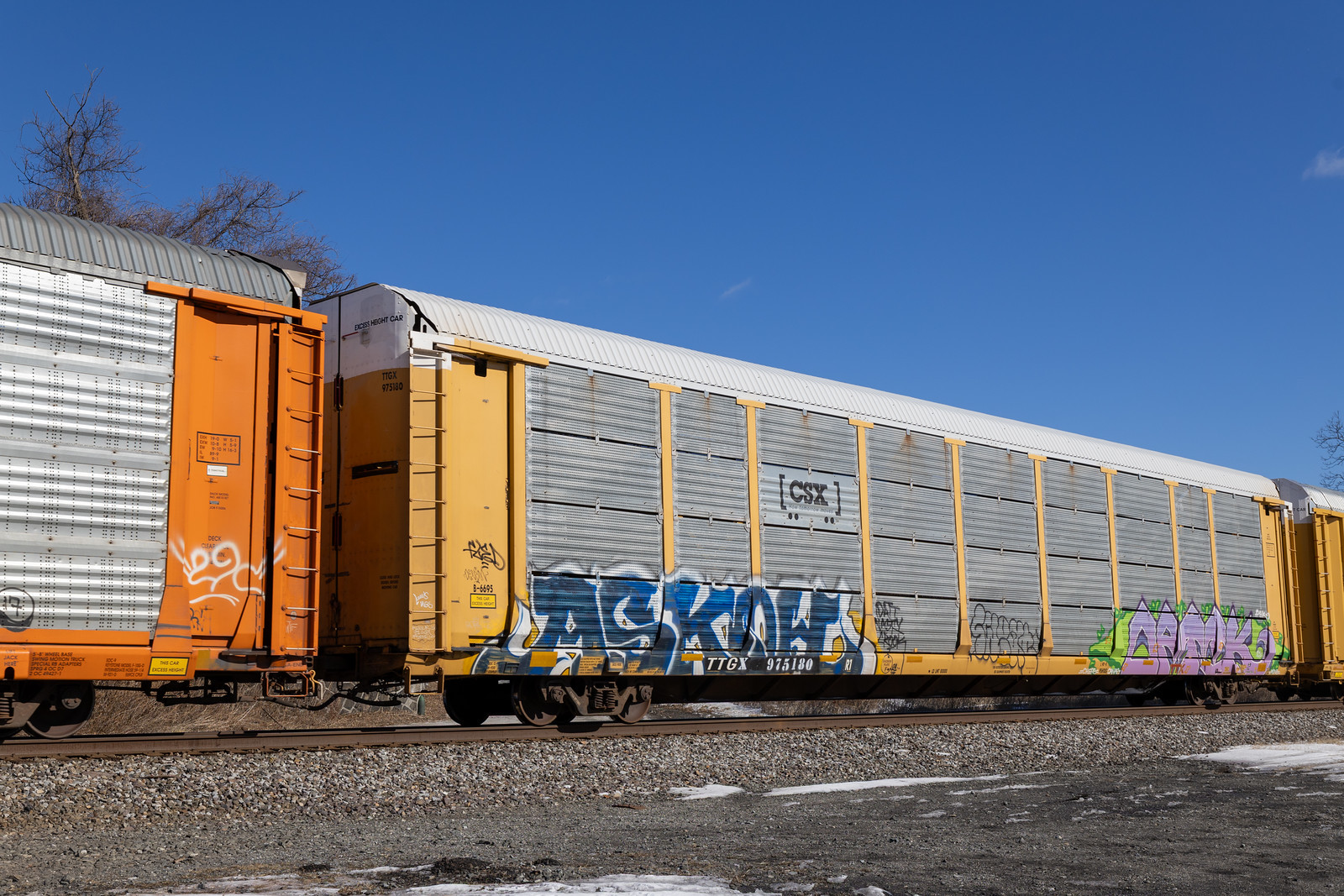 TTGX 975180