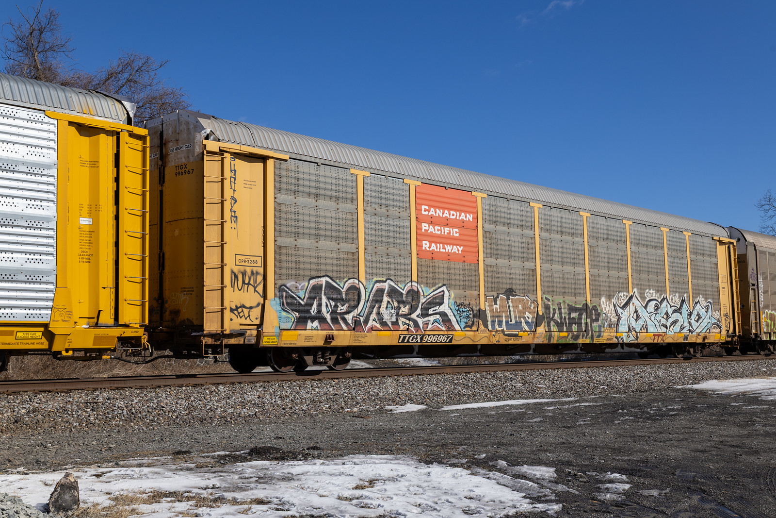 TTGX 996967
