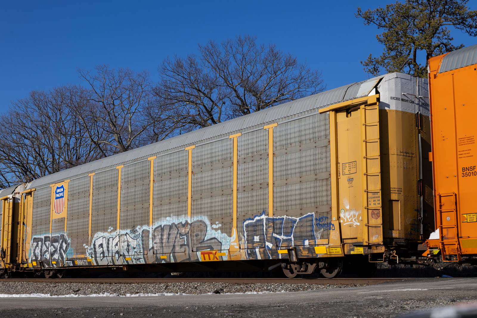 TTGX 988473