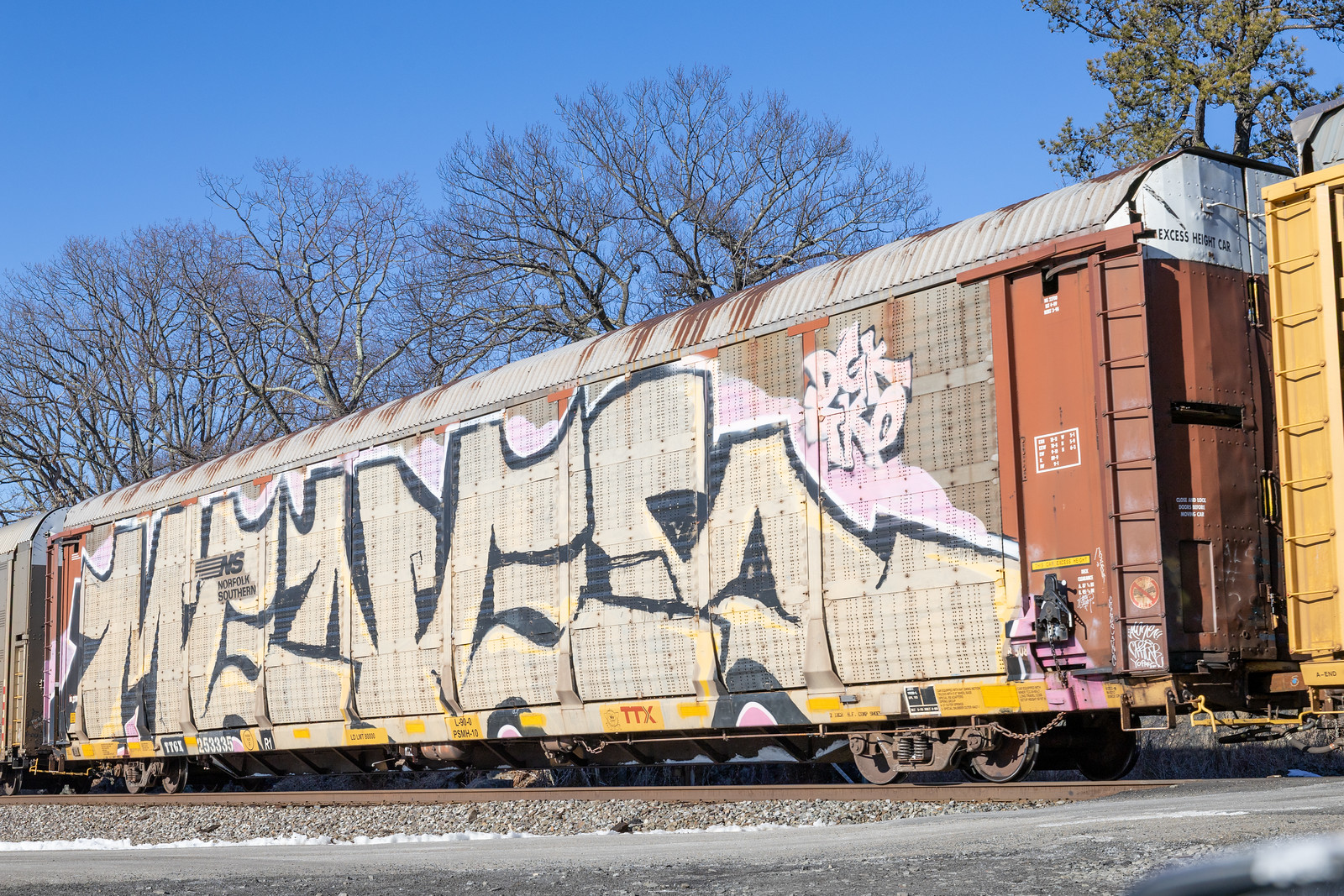 TTGX 253335