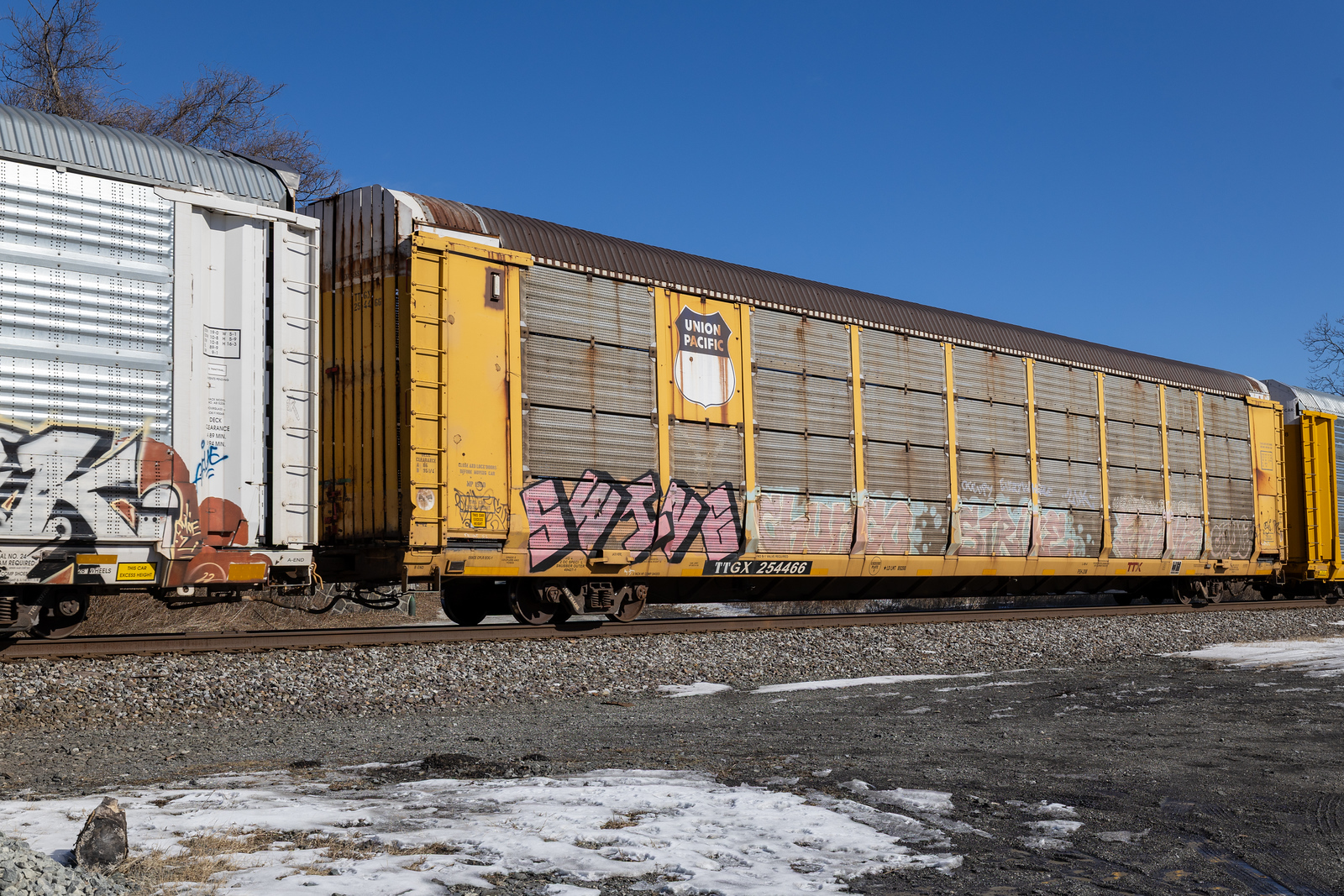 TTGX 254466