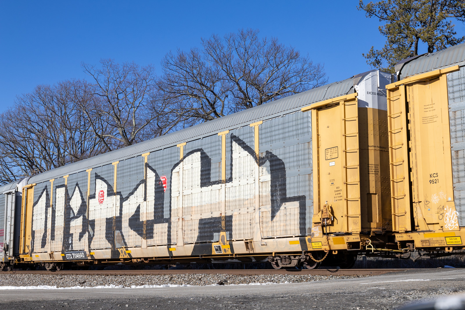 ETTX 704640