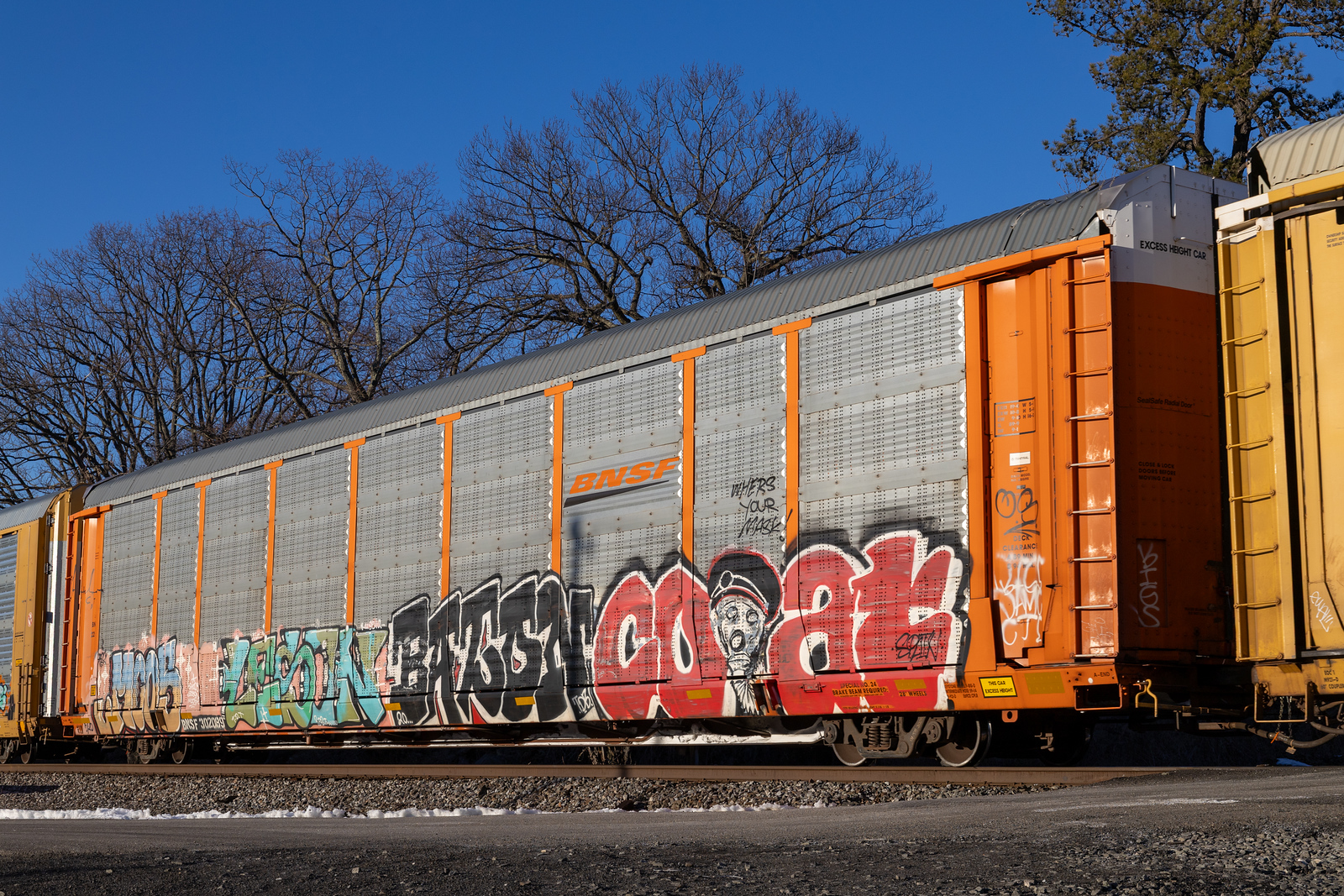 BNSF 302089