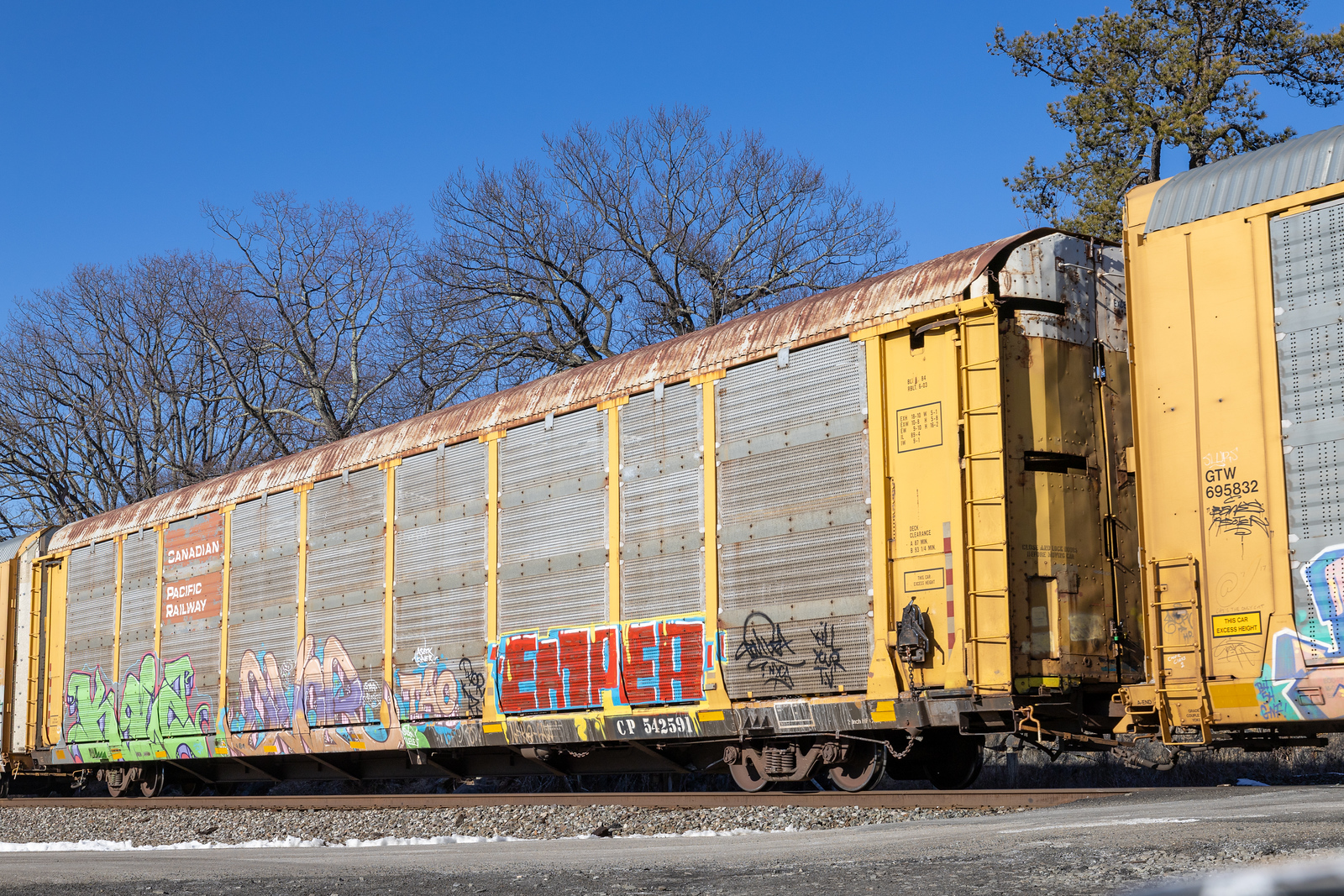 CP 542591