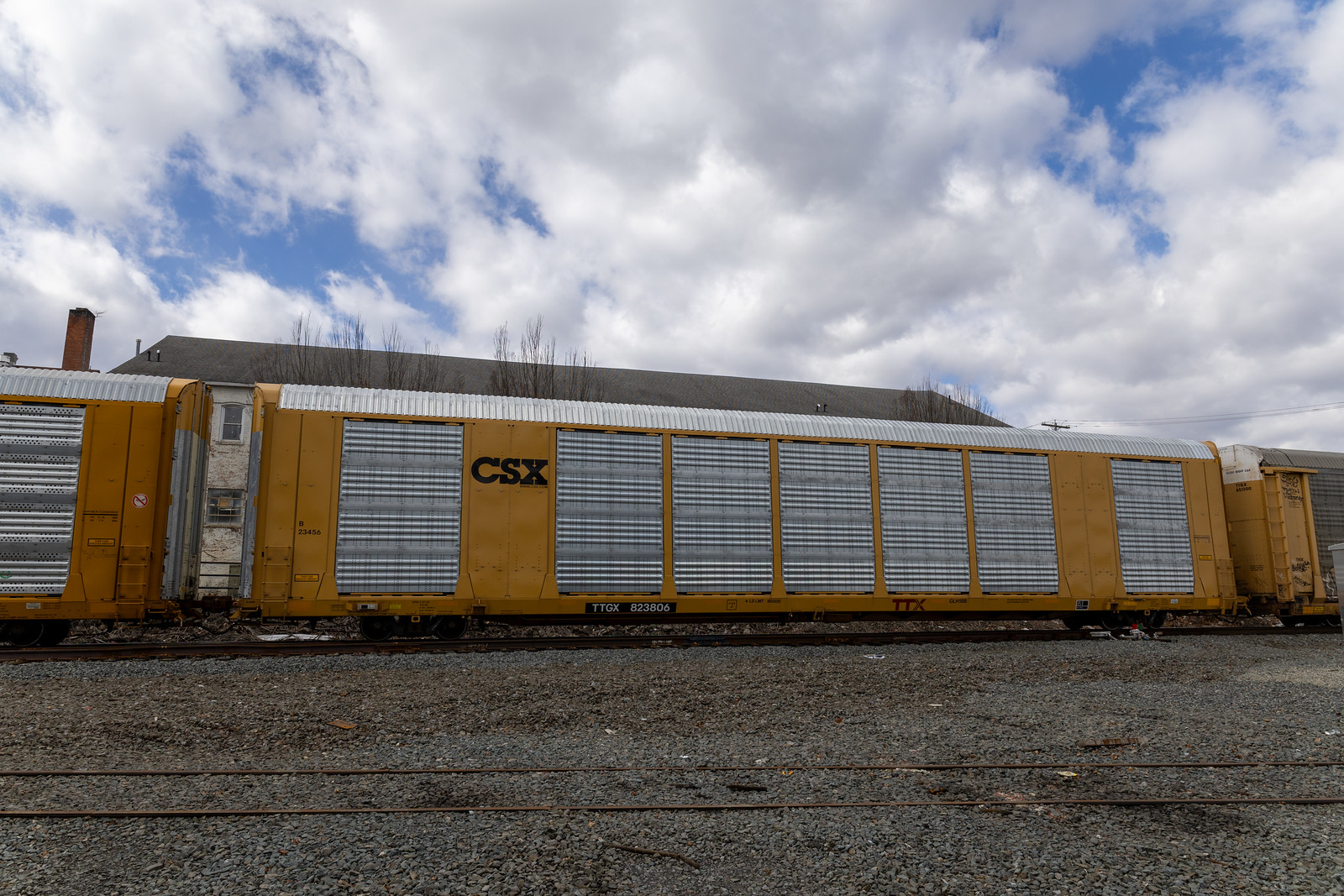 TTGX 823806