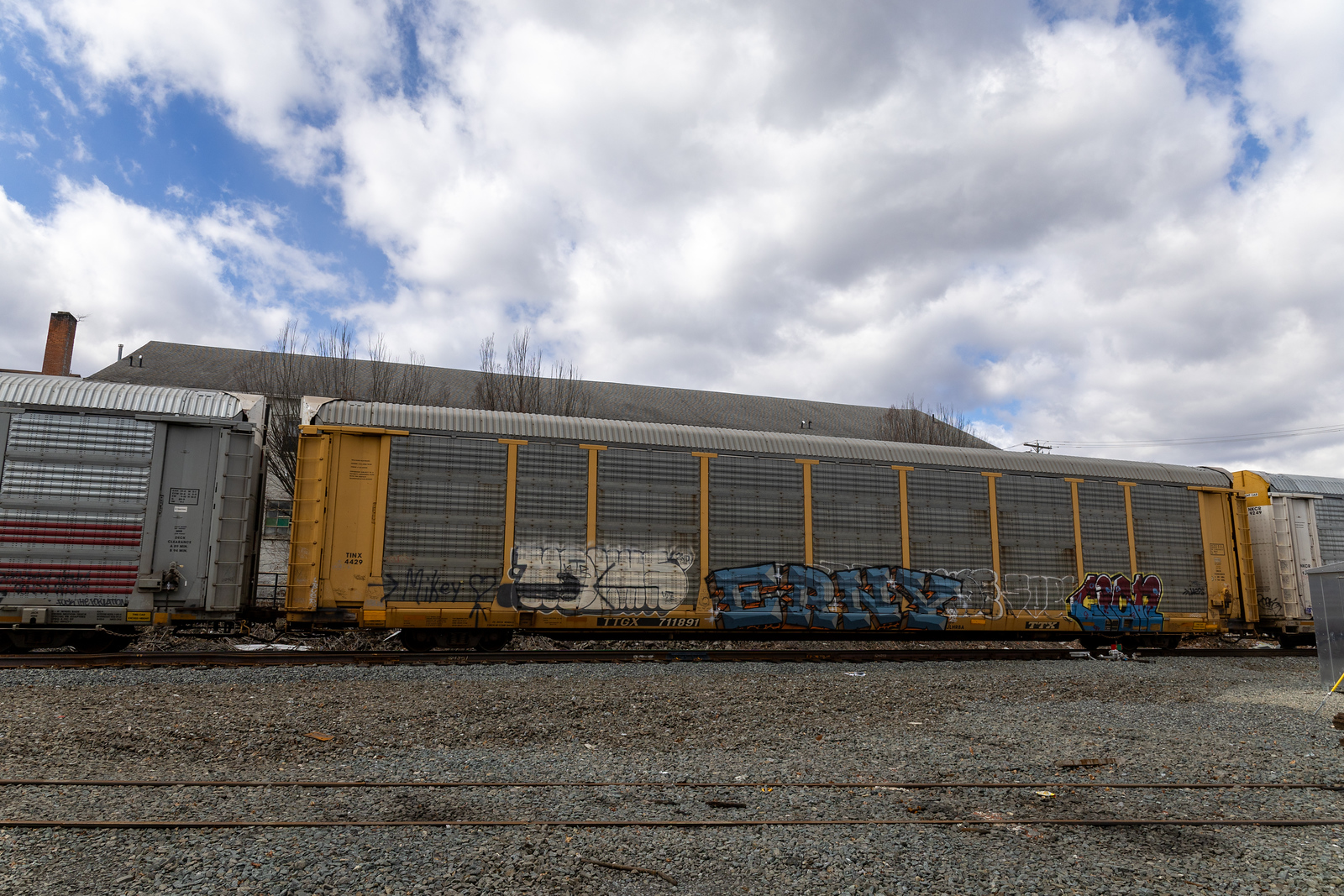 TTGX 711891