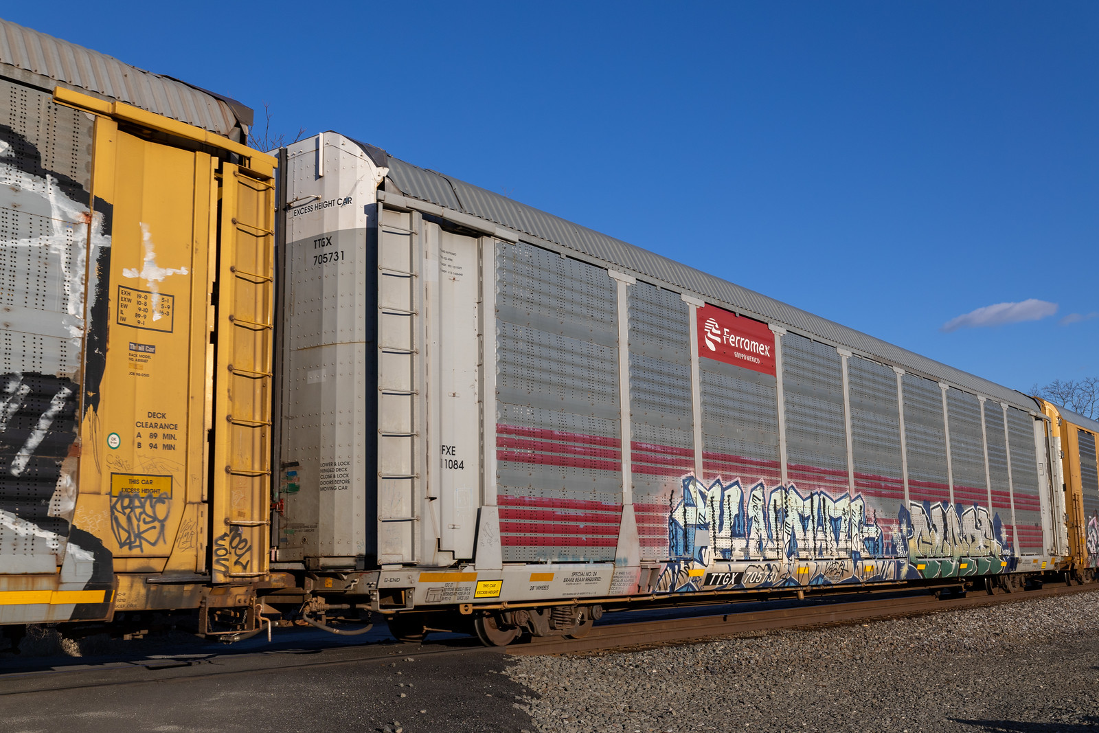 TTGX 705731