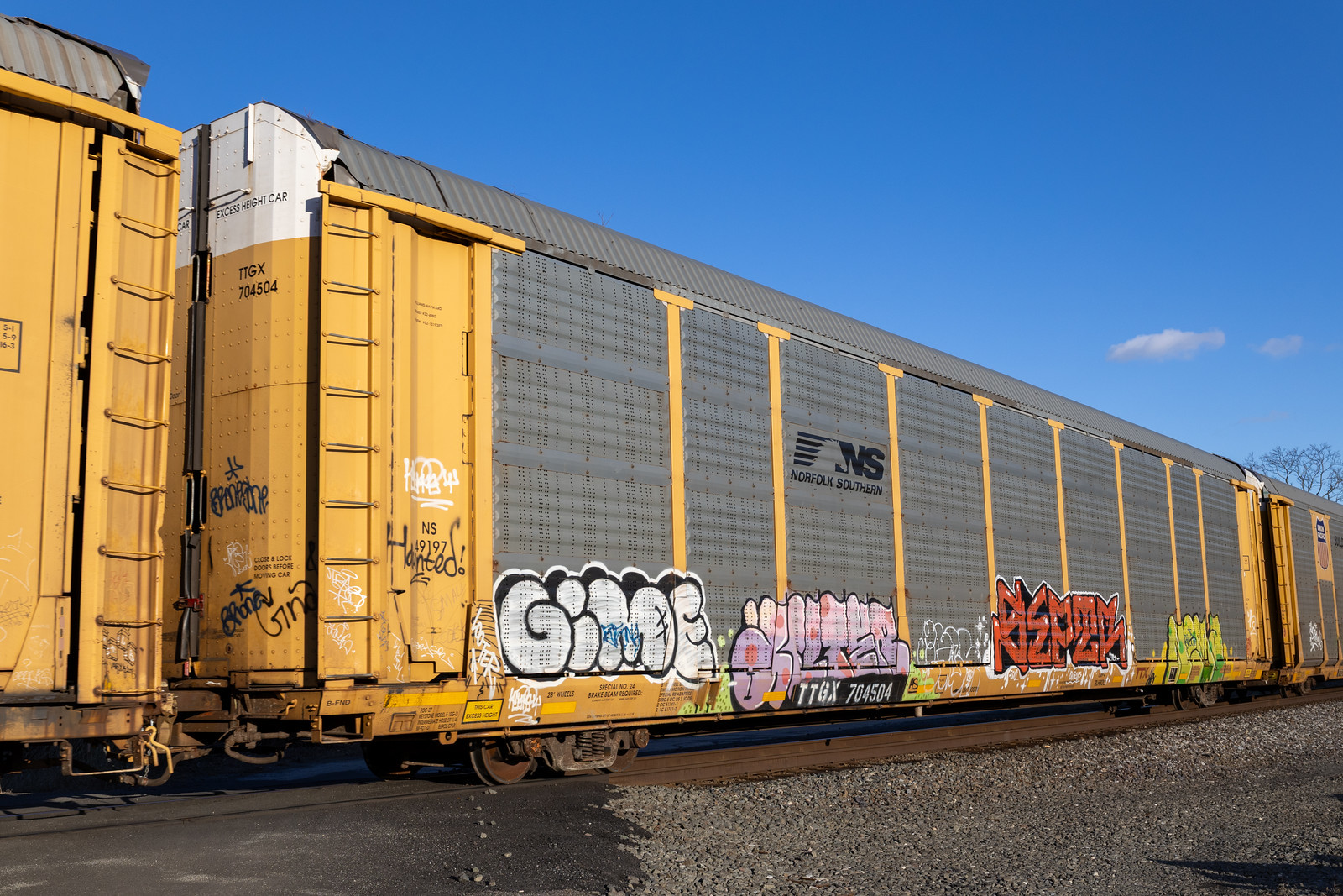 TTGX 704504