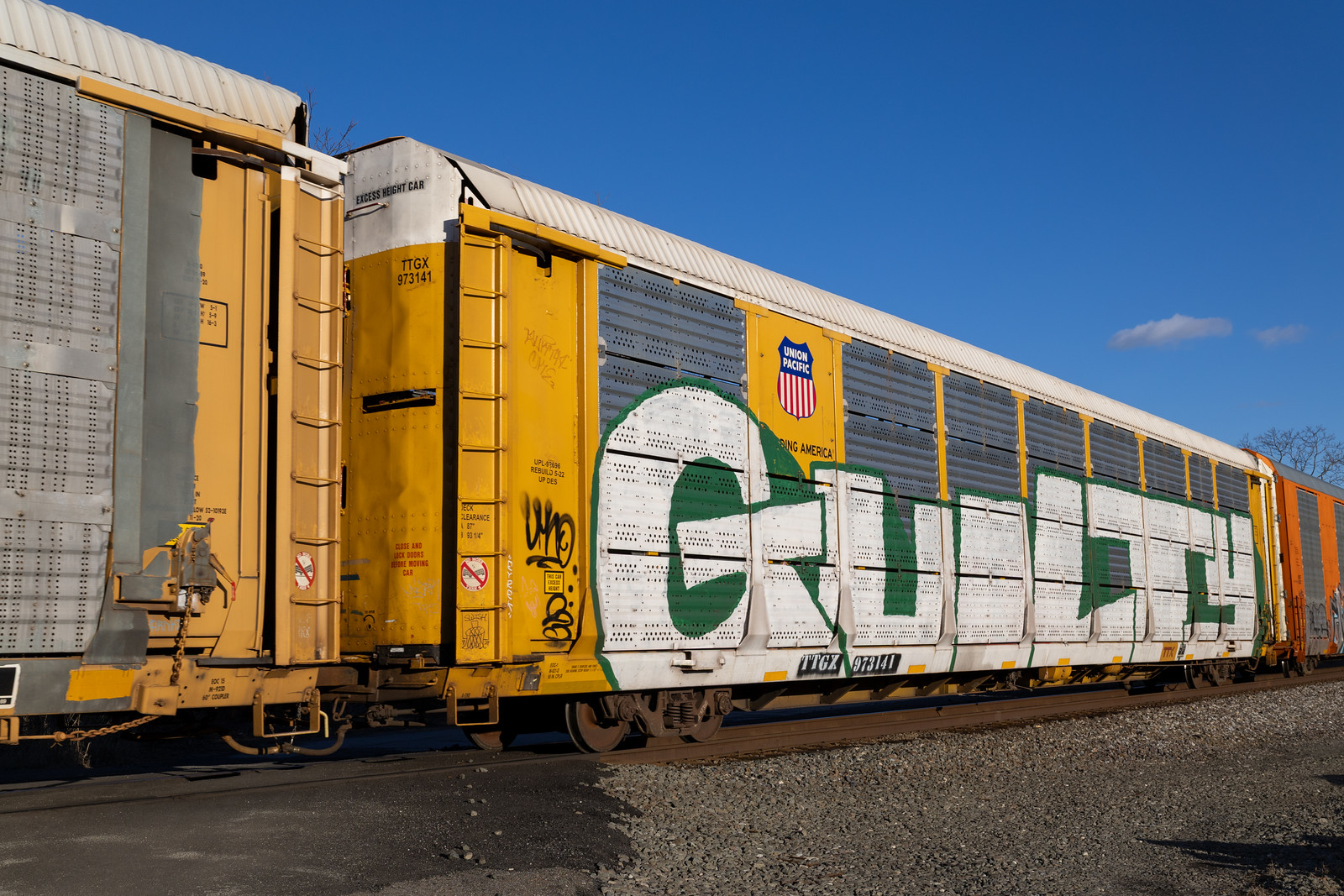 TTGX 973141