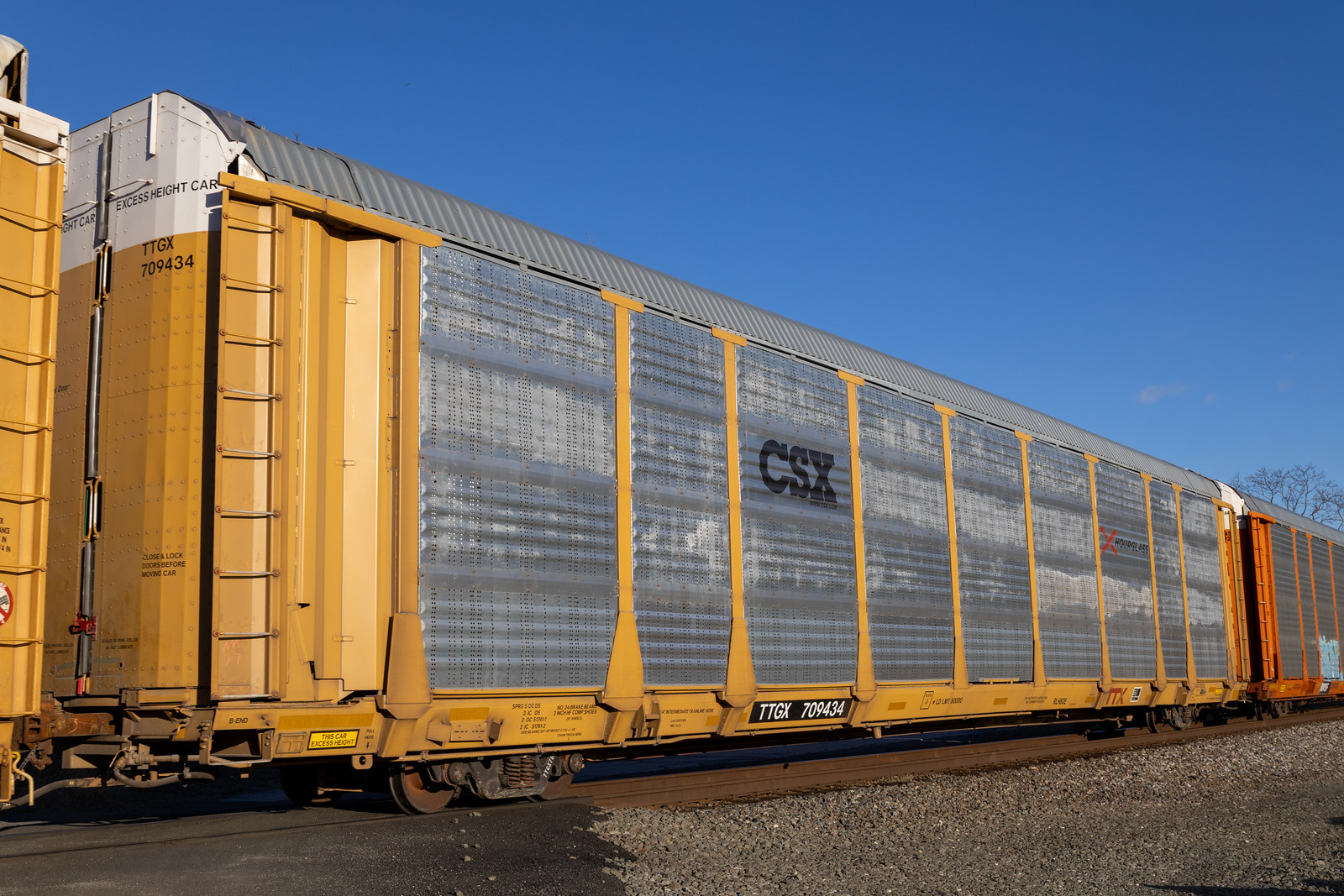 TTGX 709434