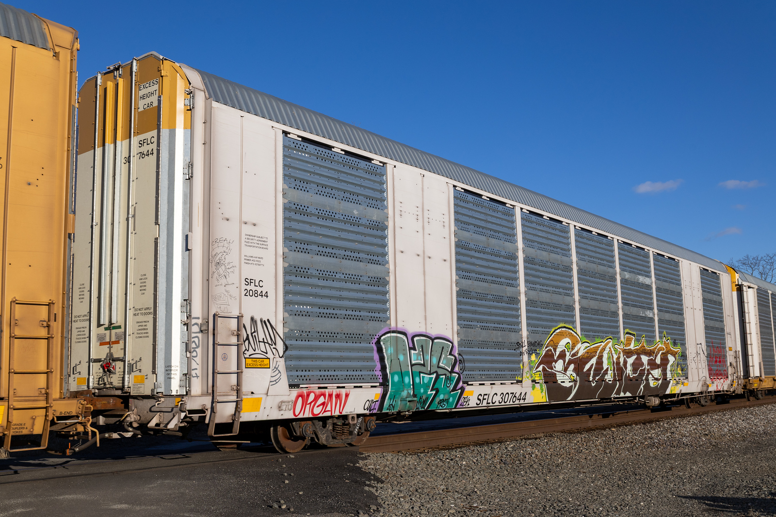 SFLC 307644