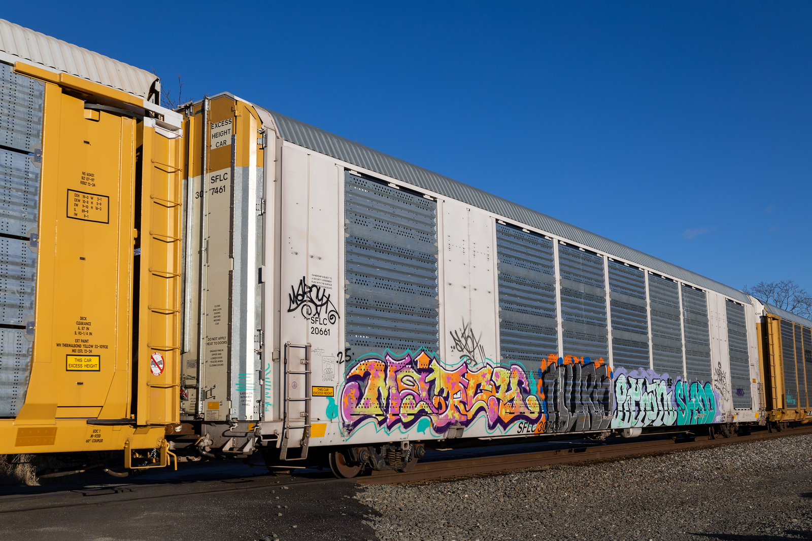 SFLC 307461